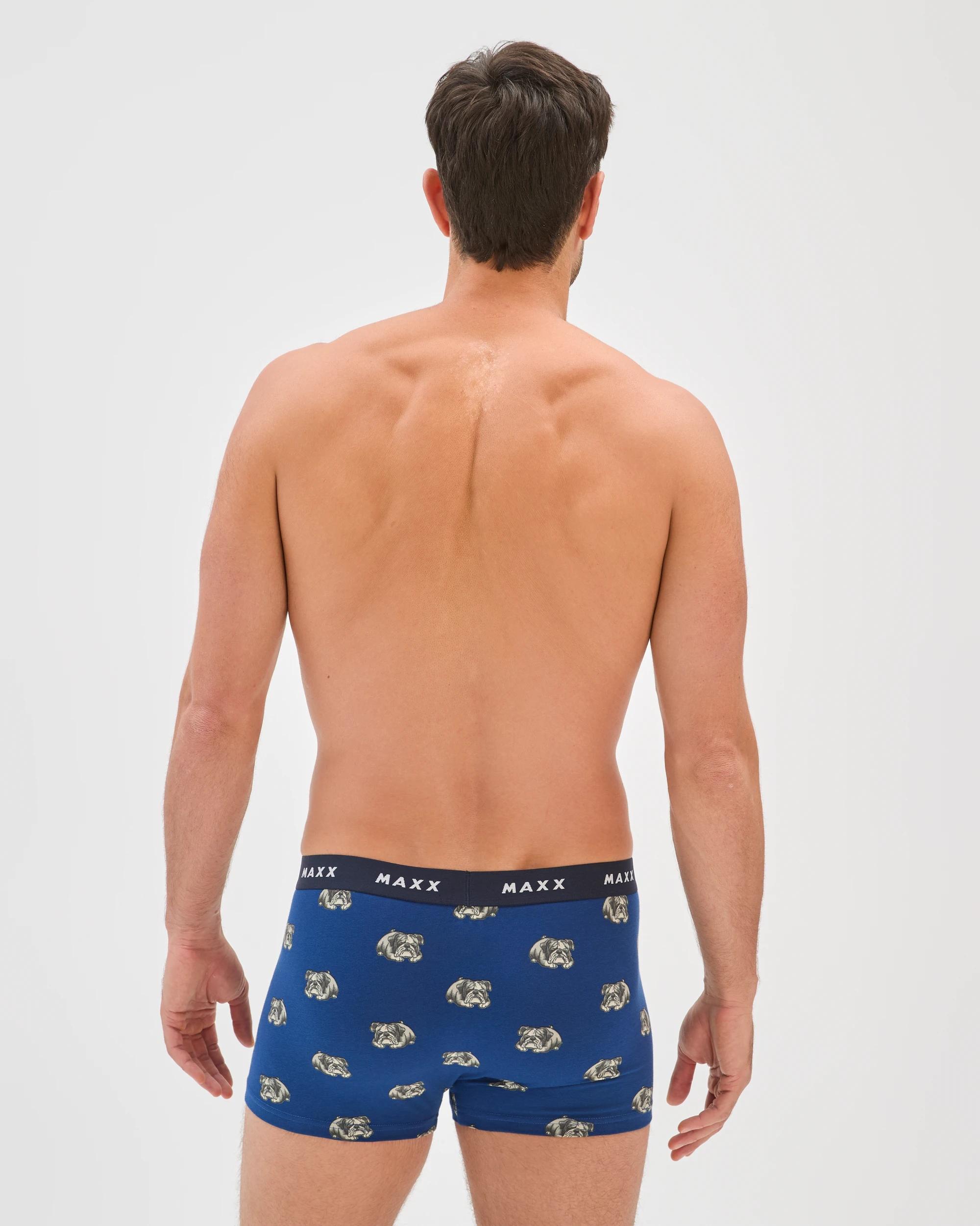 4 Maxx Australian Cotton Blend 3 Pack Flyfront Trunks BLUE DOG, 4 of 4