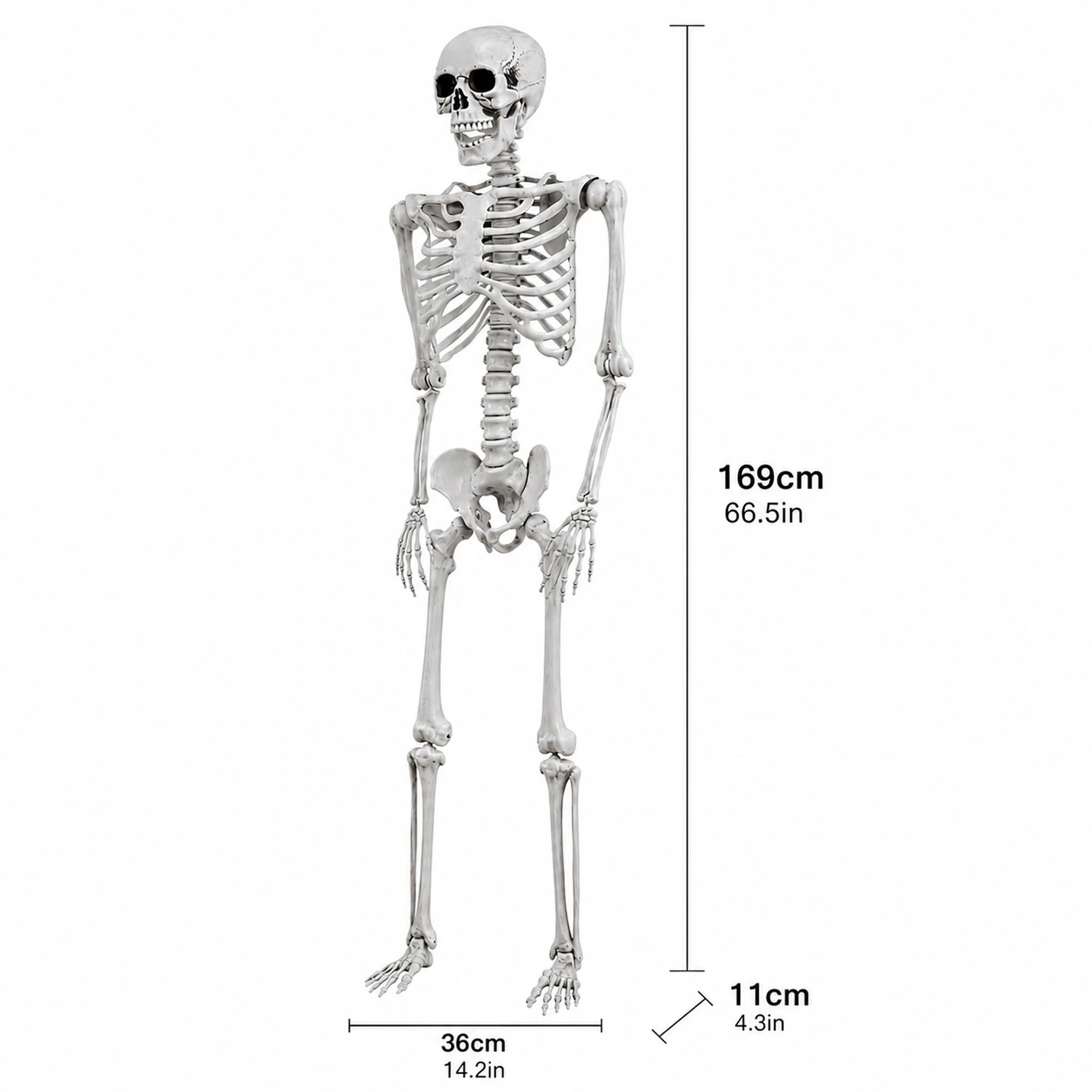 2 Yezi Halloween Decorations Skeleton 169cm Life Size Posable ABS White, 2 of 8