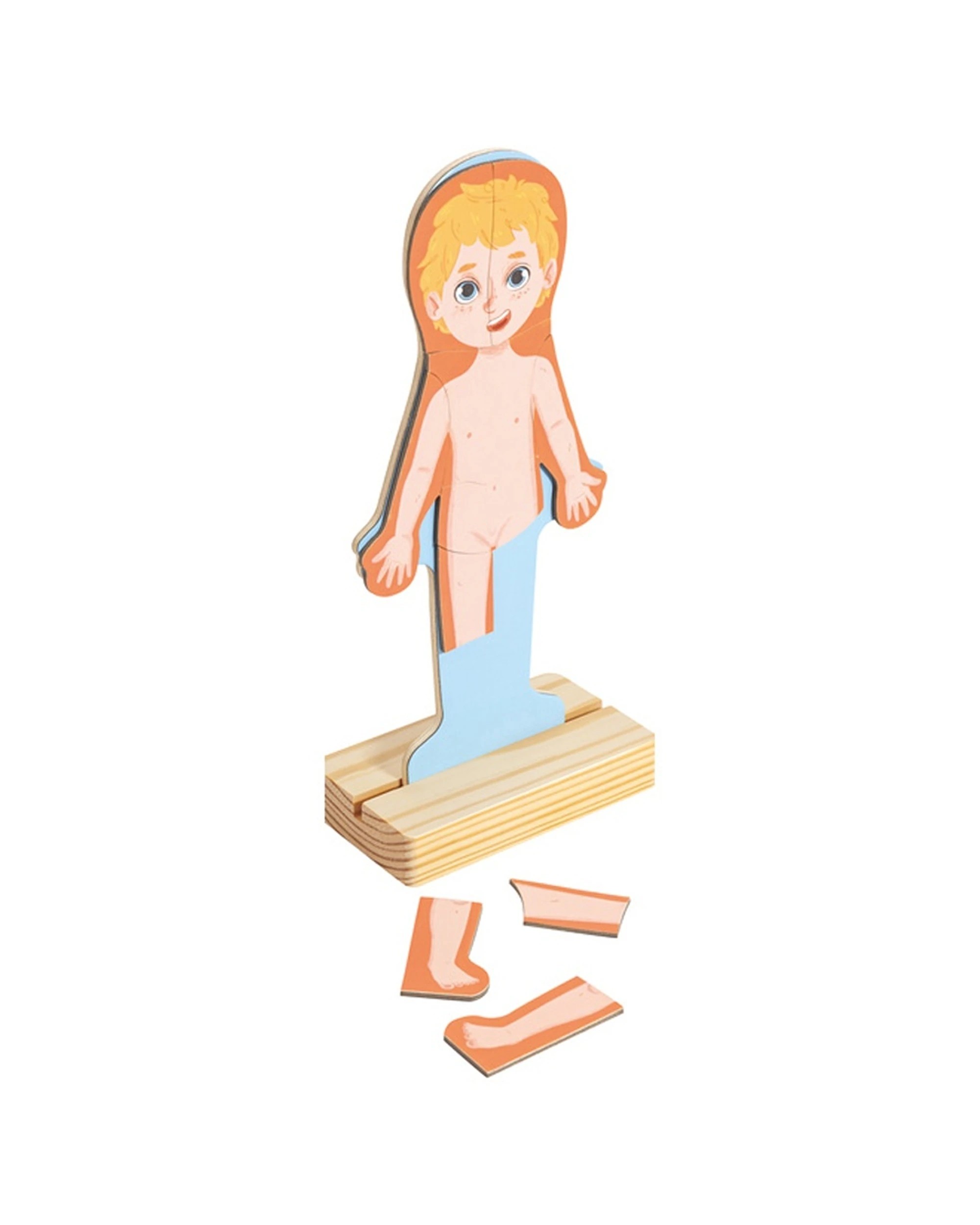 3 Hape Human Body Magnetic Puzzle Anatomy Learning Set Educational Kids - Multi, 3 of 5