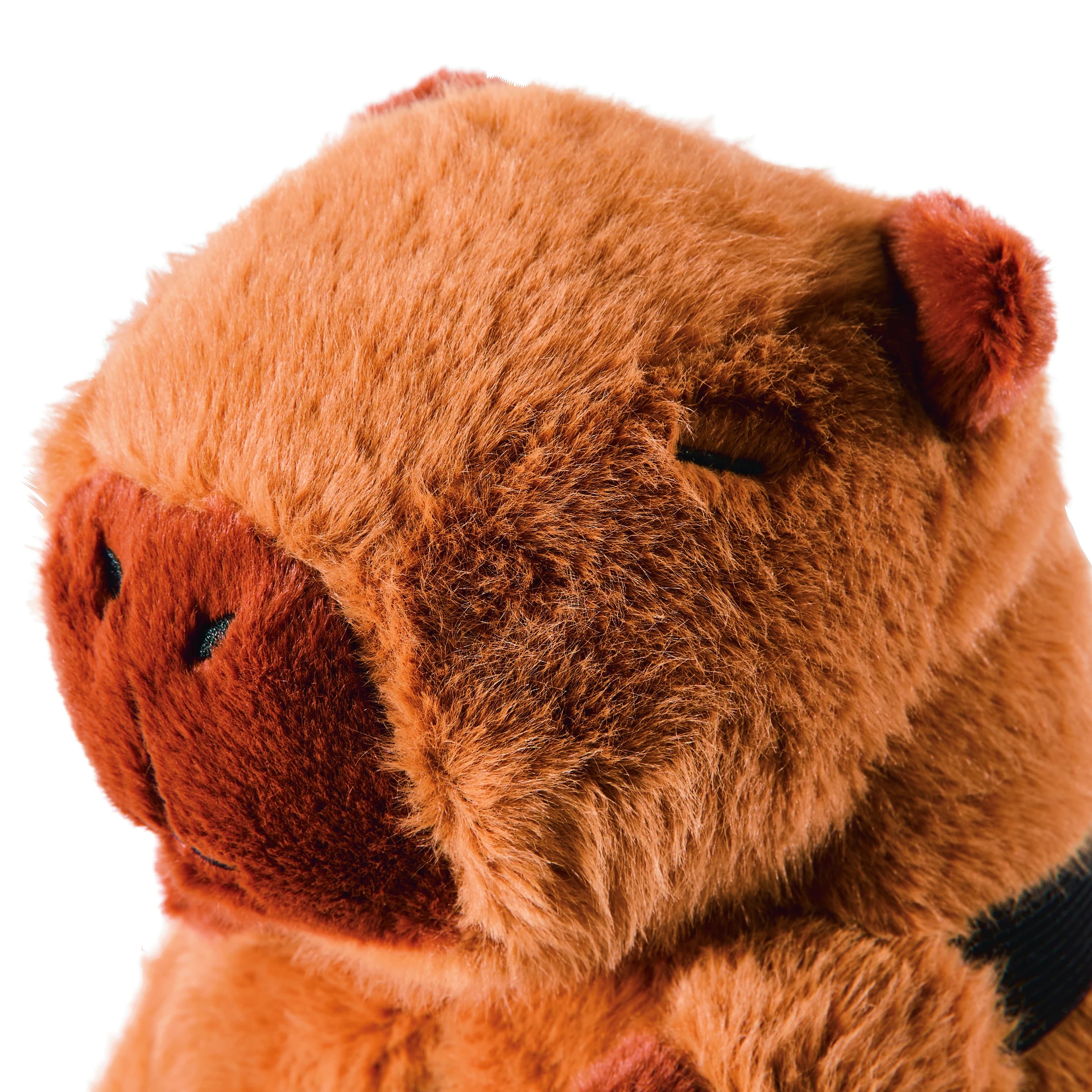 9 Car Tissue Holder - Capybara, 9 of 10
