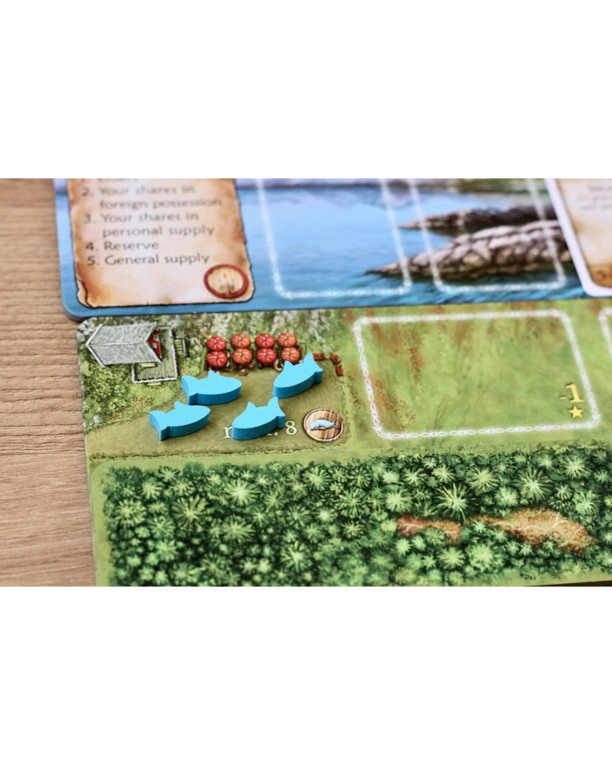 5 Nusfjord Big Box Edition Board Game, 5 of 7