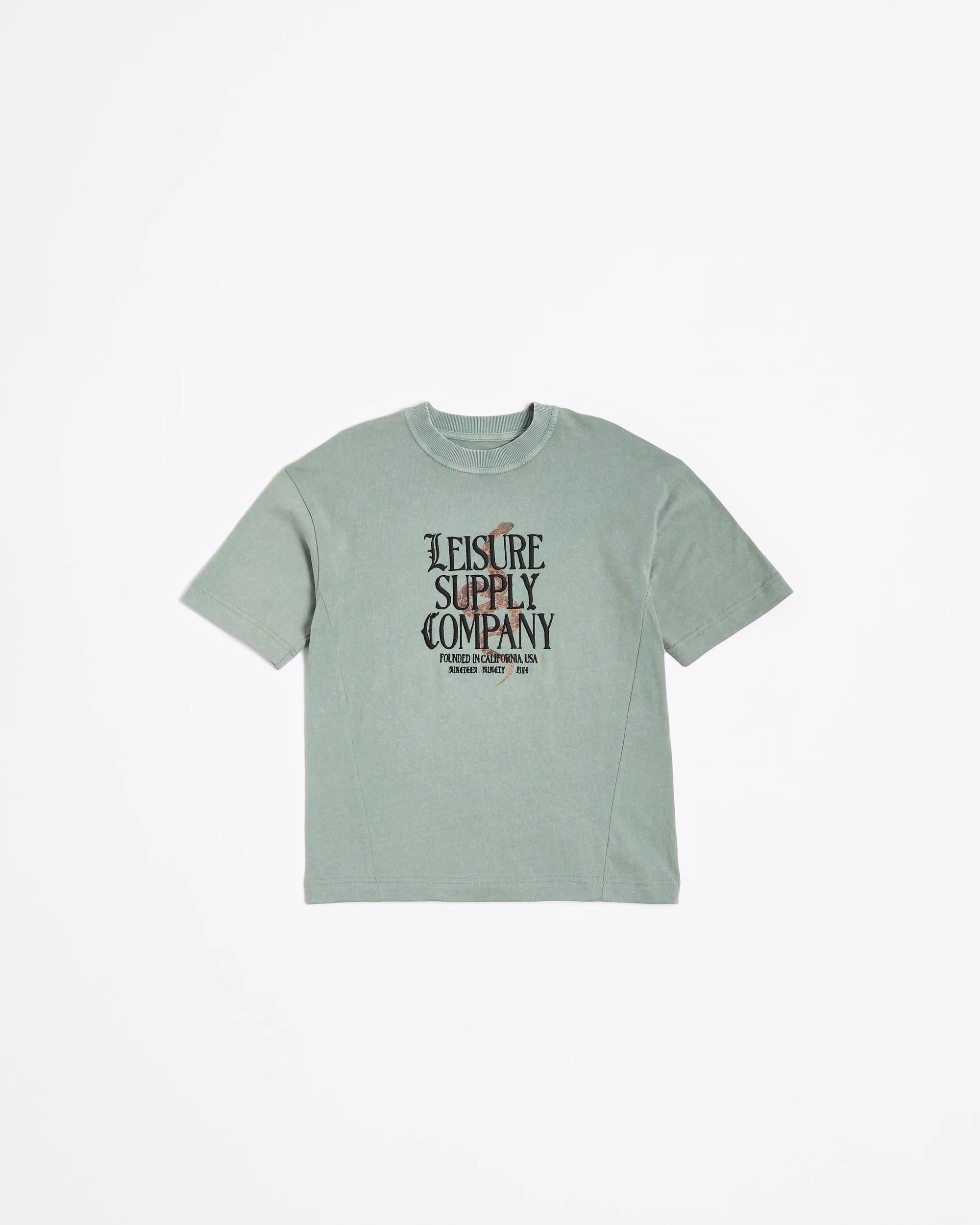 4 Target Australian Cotton Oversized Washed T-shirt GREEN, 4 of 5