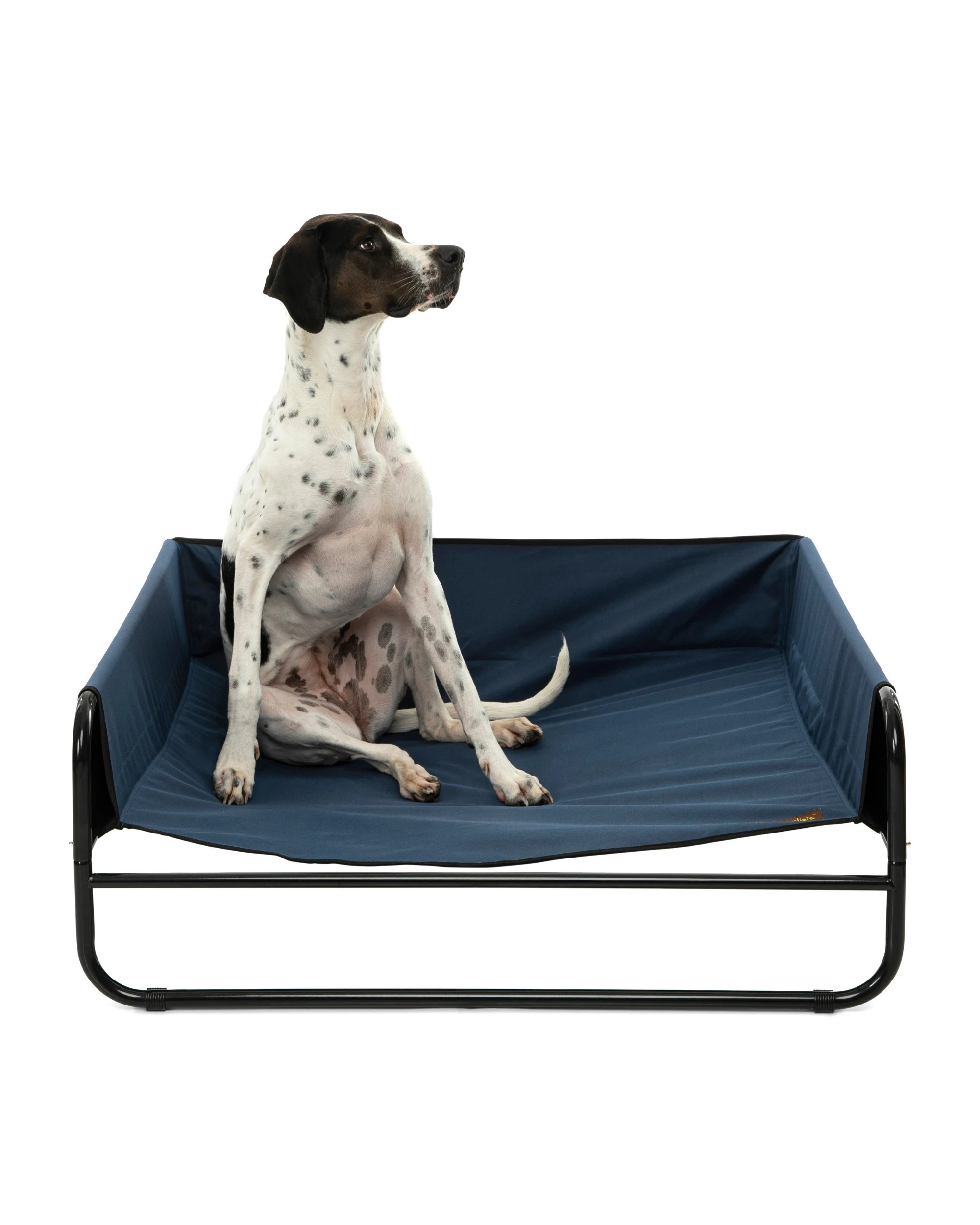 2 Charlie's High Walled Outdoor Trampoline Dog Bed Medium - Blue, 2 of 6