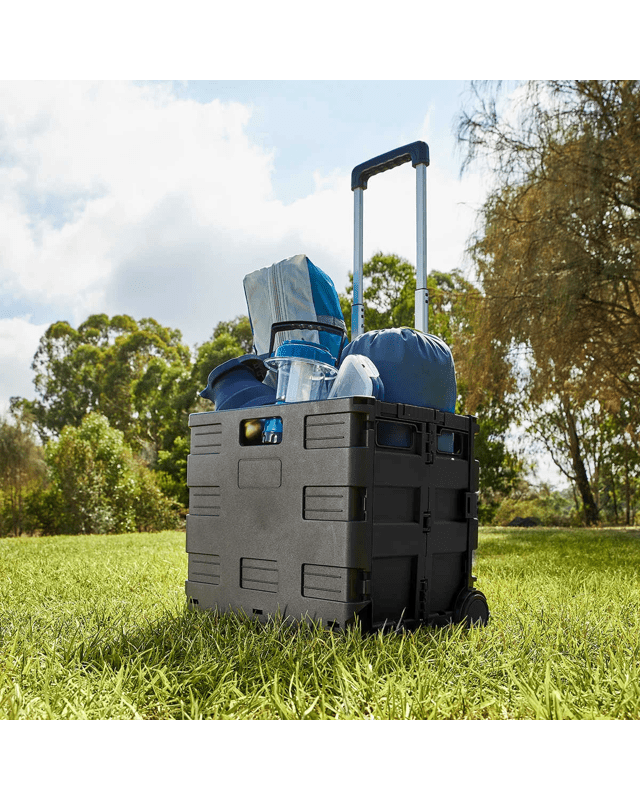 Collapsible Trolley Box - B