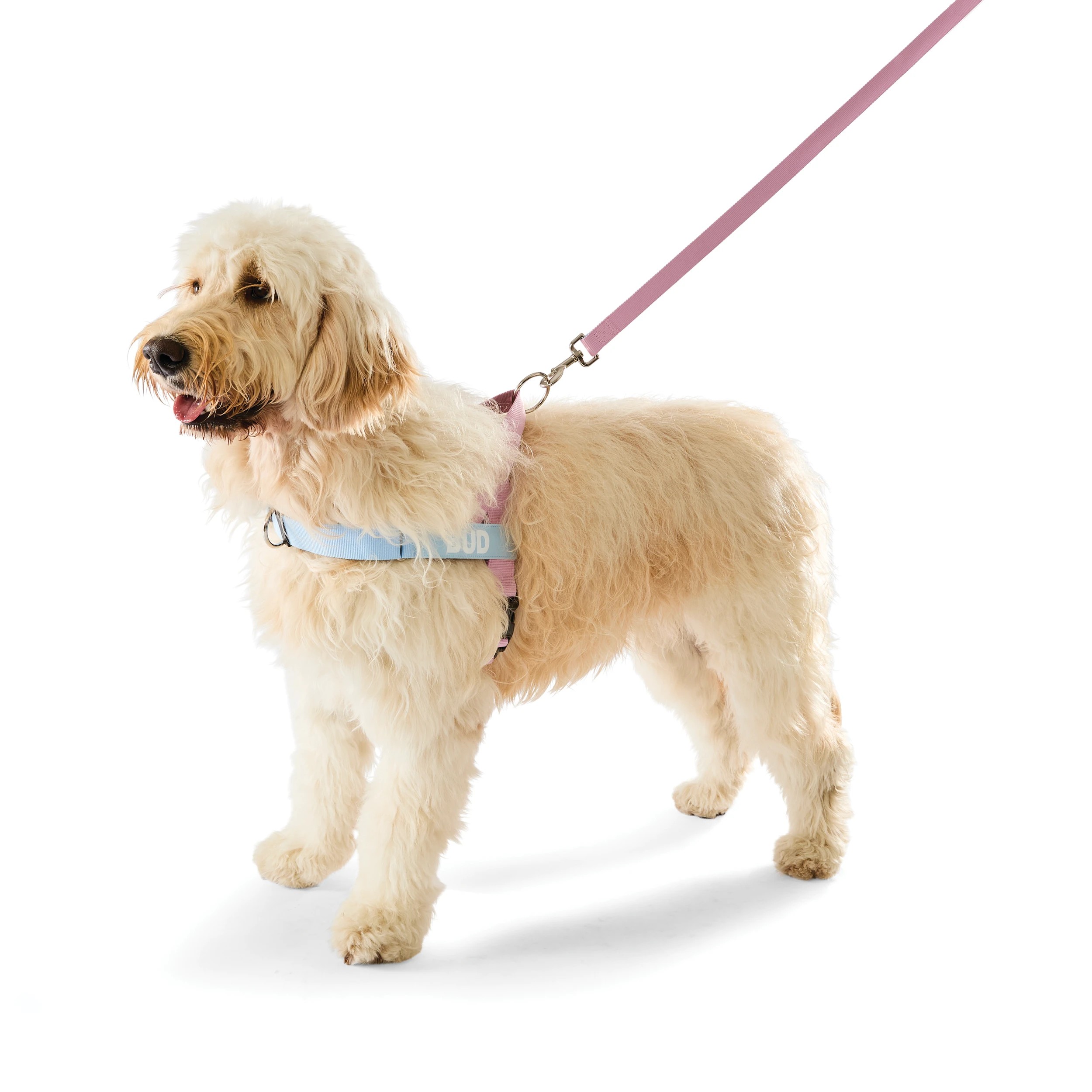 1 Pink Custom Harness Walking Set - Extra Large, 1 of 10