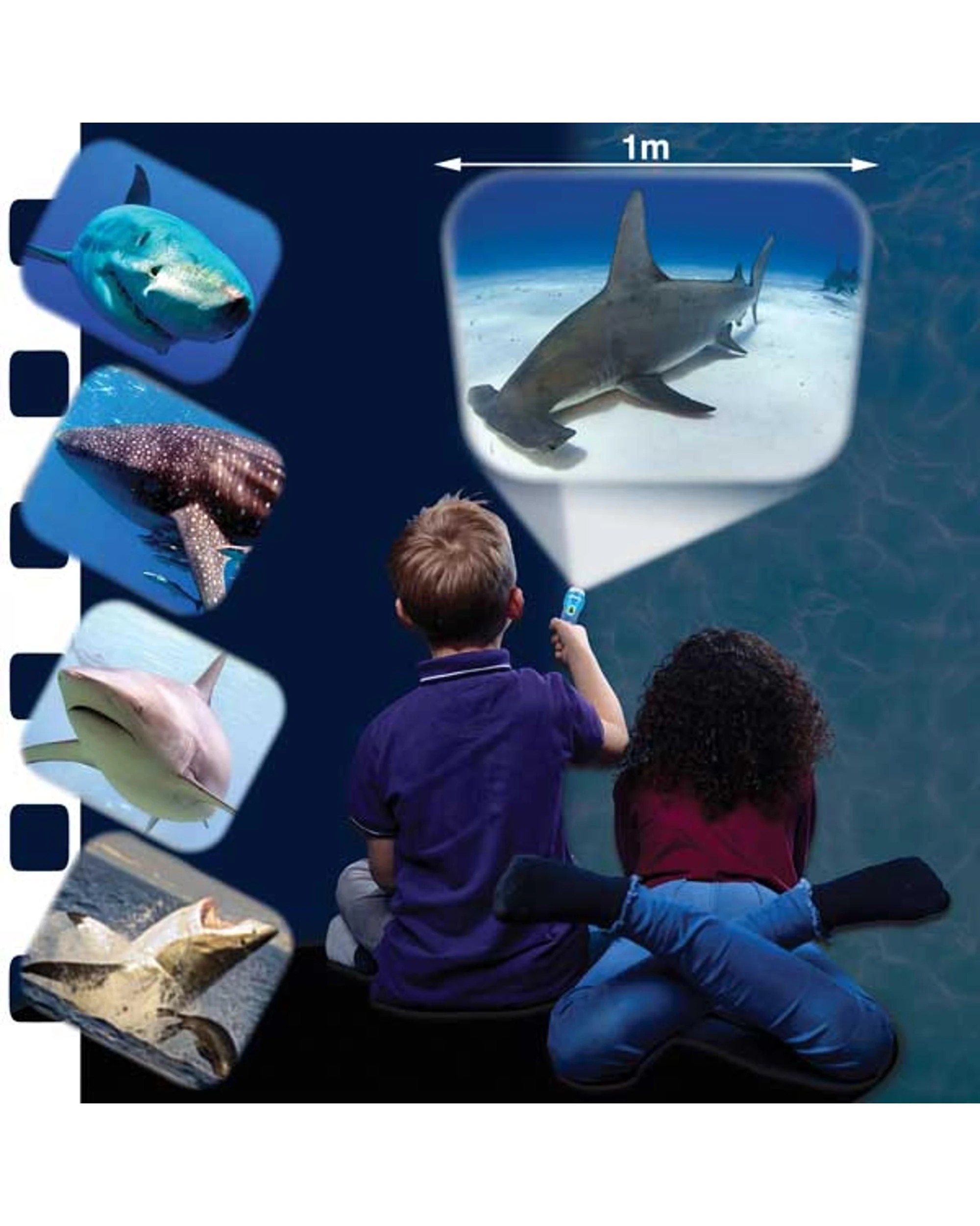 2 Brainstorm Shark Torch and Projector, 2 of 10