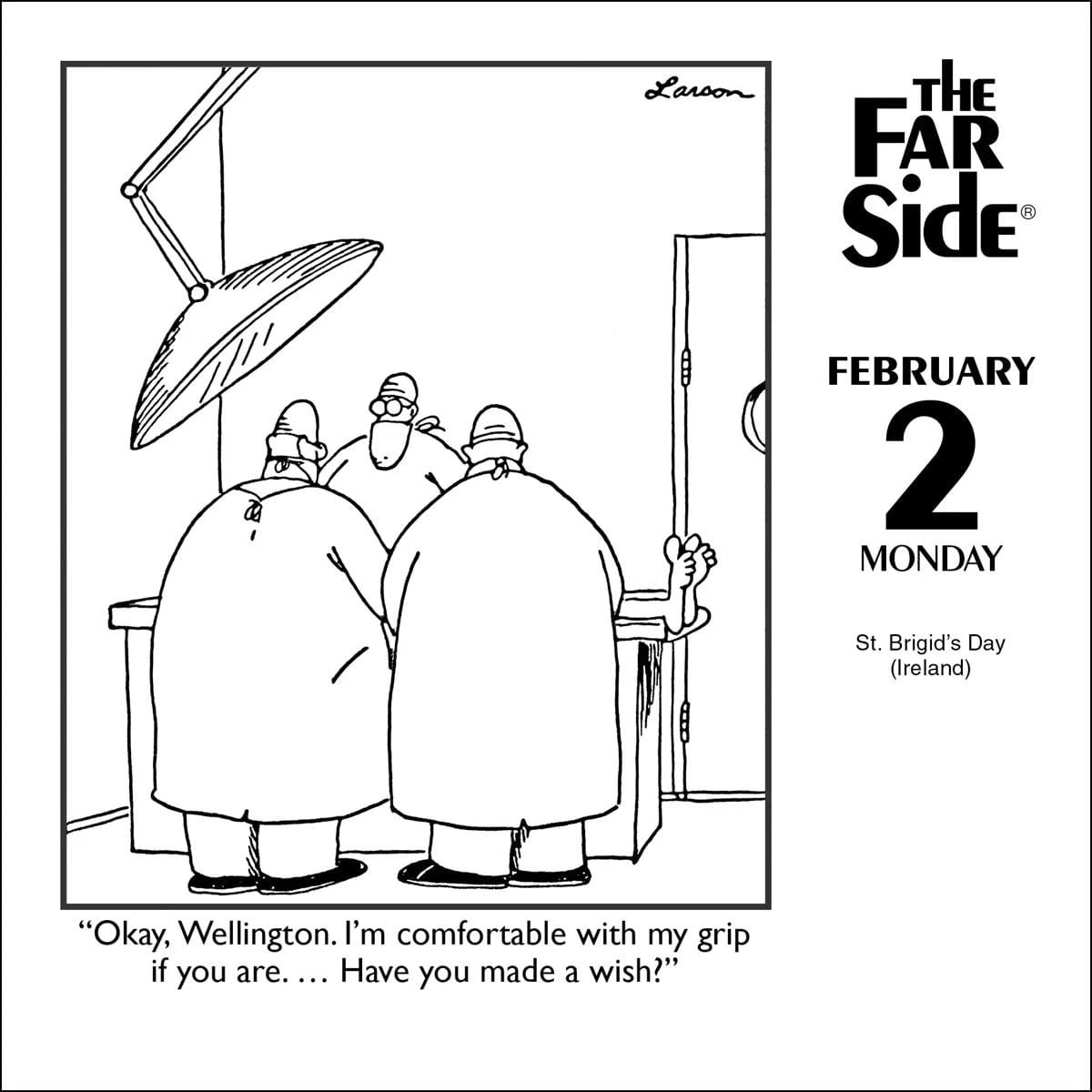 2 The Far Side Off-the-Wall 2026 Calendar by Gary Larson, 2 of 3