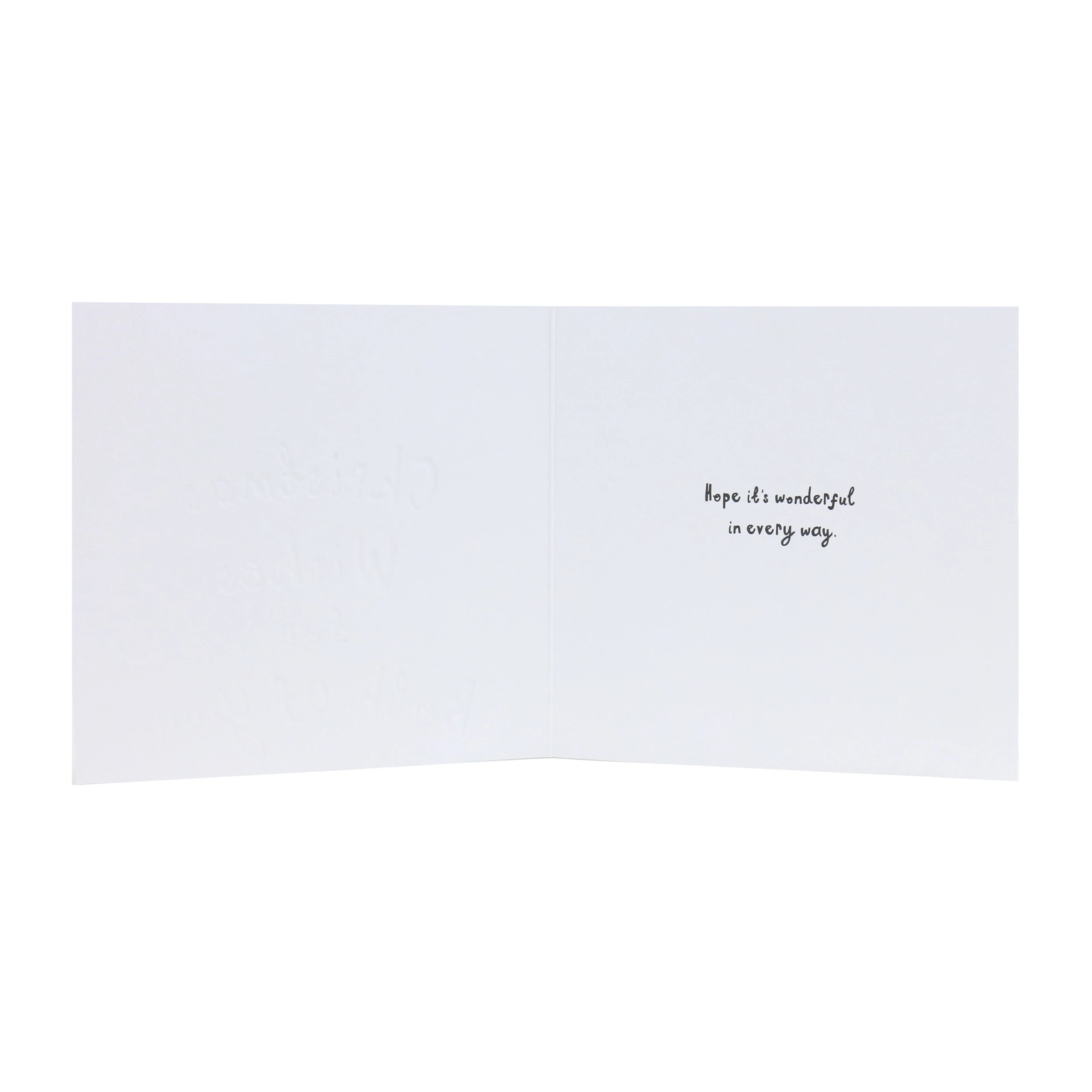 2 Hallmark Christmas Card - Christmas Wishes For Both Of You, 2 of 3