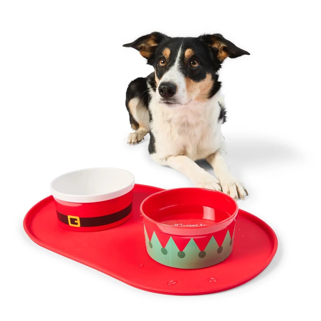 1 2 Pack Melamine Pet Bowl Set, 1 of 11