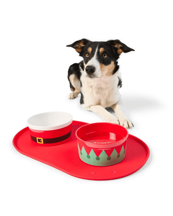 2 Pack Melamine Pet Bowl Set
