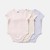 PINK, HONEY, LILY