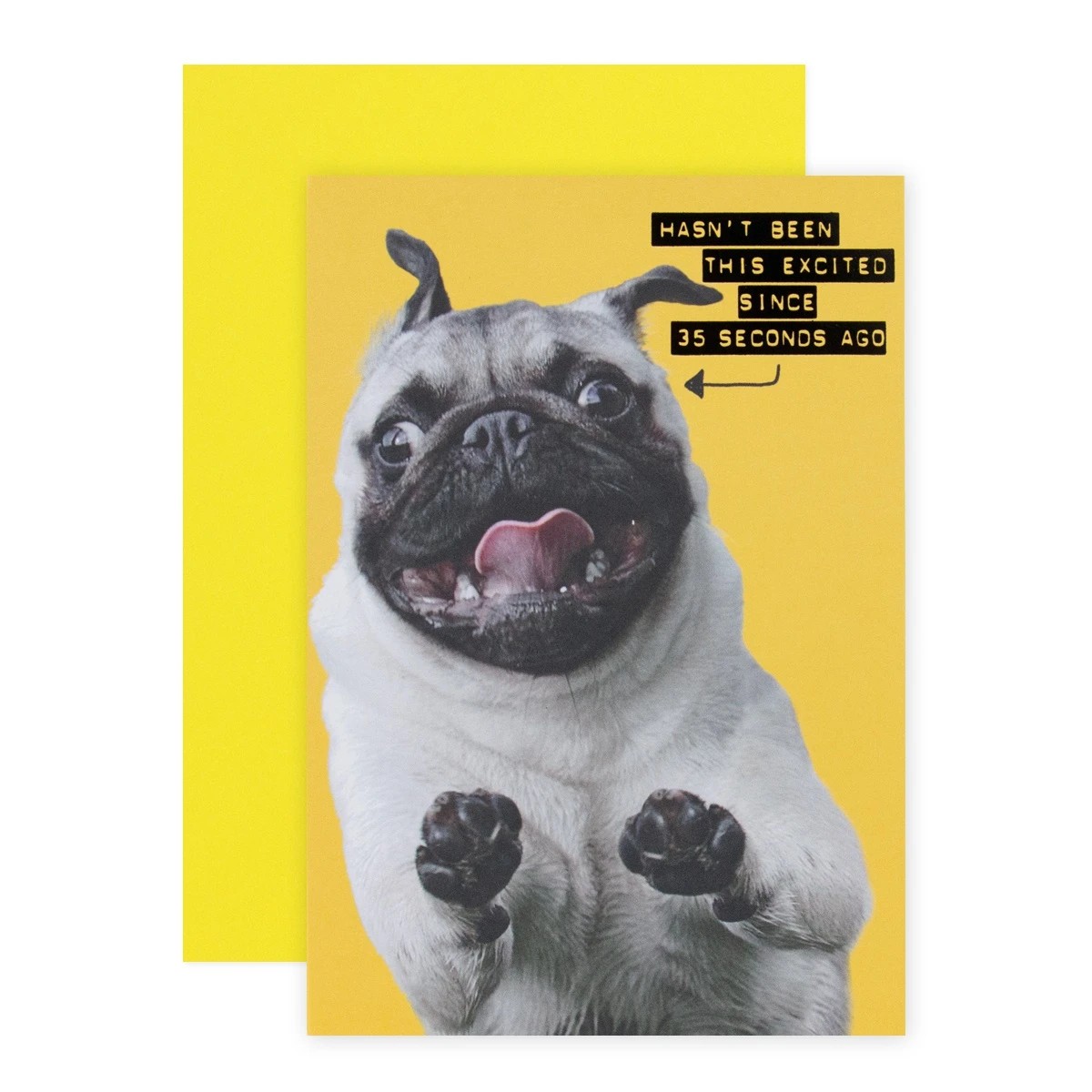 1 Connections from Hallmark Birthday Card - Excited Pug, 1 of 3