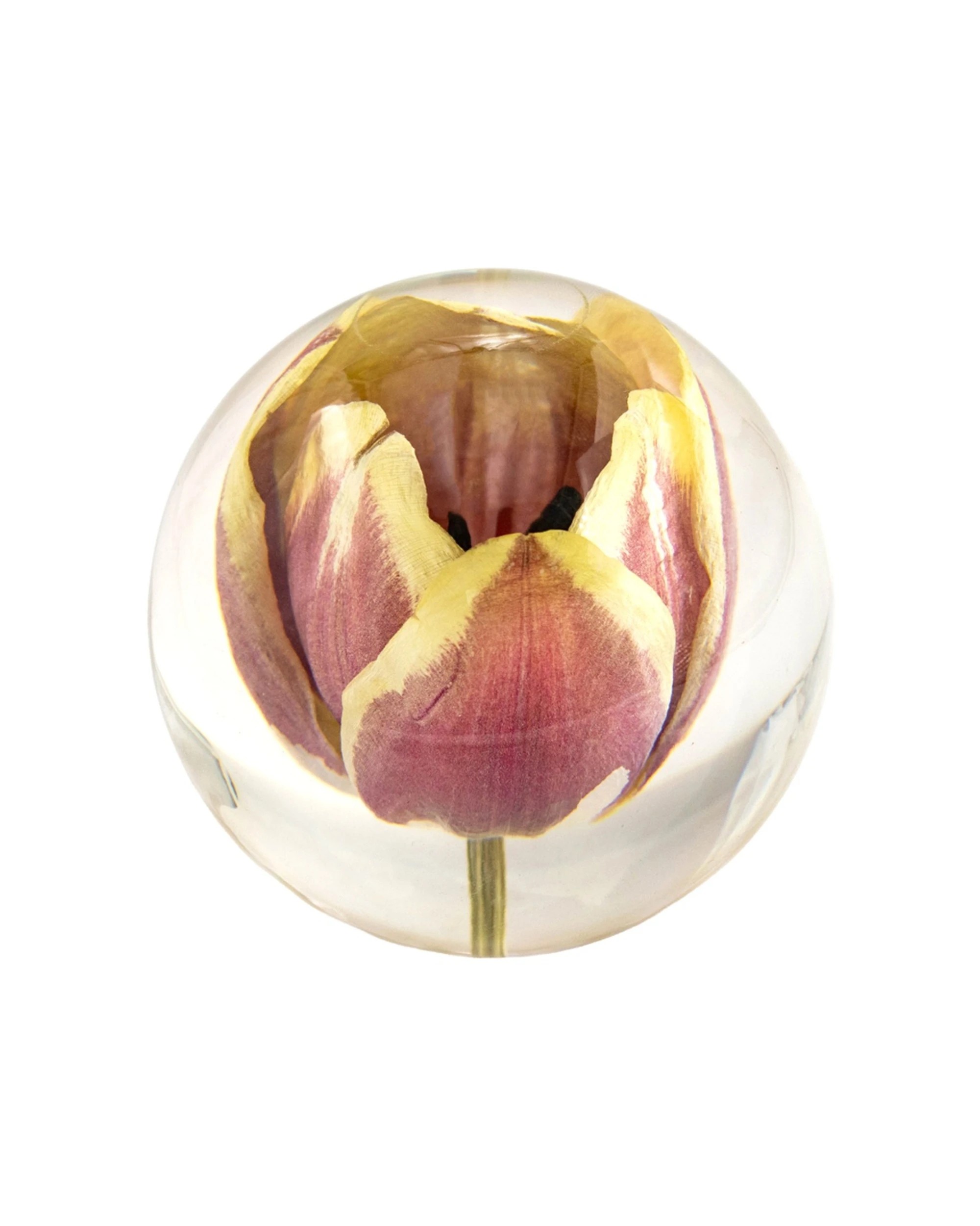 1 Leni Handcrafted Floral Resin Sphere With Real Tulip Flowers 8x7.5cm - Pink, 1 of 1