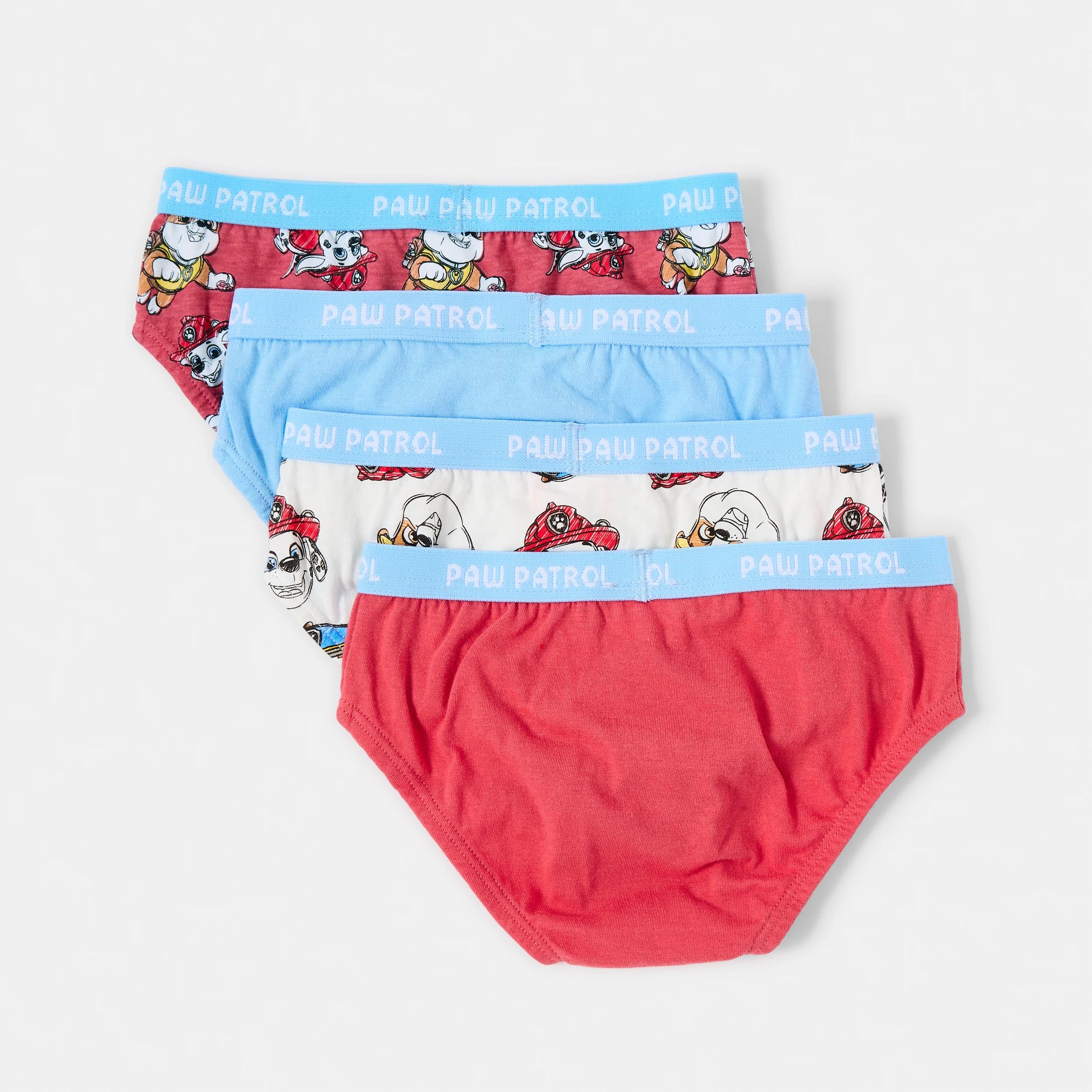 2 4 Pack PAW Patrol License Briefs PAW PATROL, 2 of 7