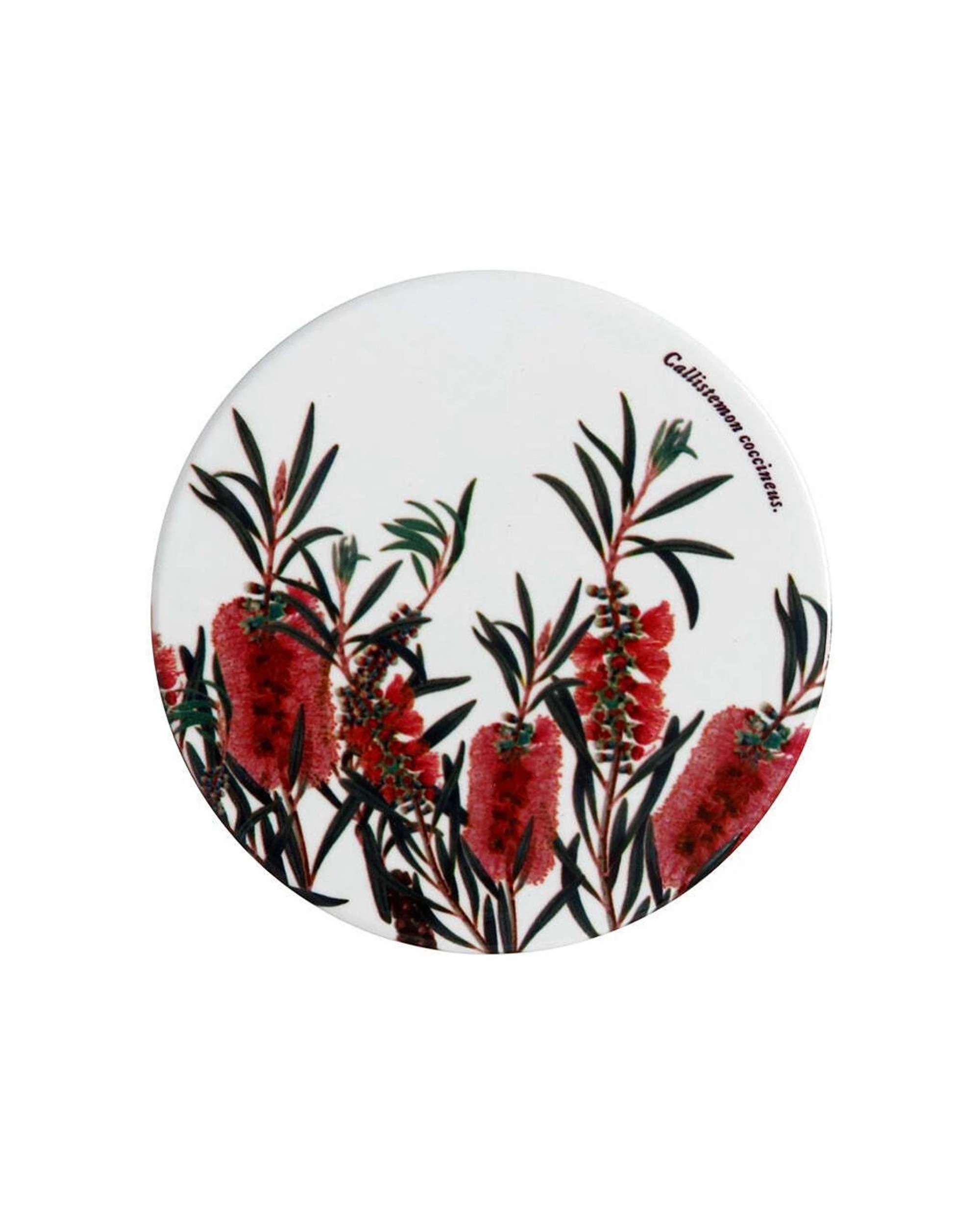 2 Maxwell & Williams 6PK Royal Botanic Gardens Victoria Coaster 9.5cm Bottlebrush - Multi, 2 of 2