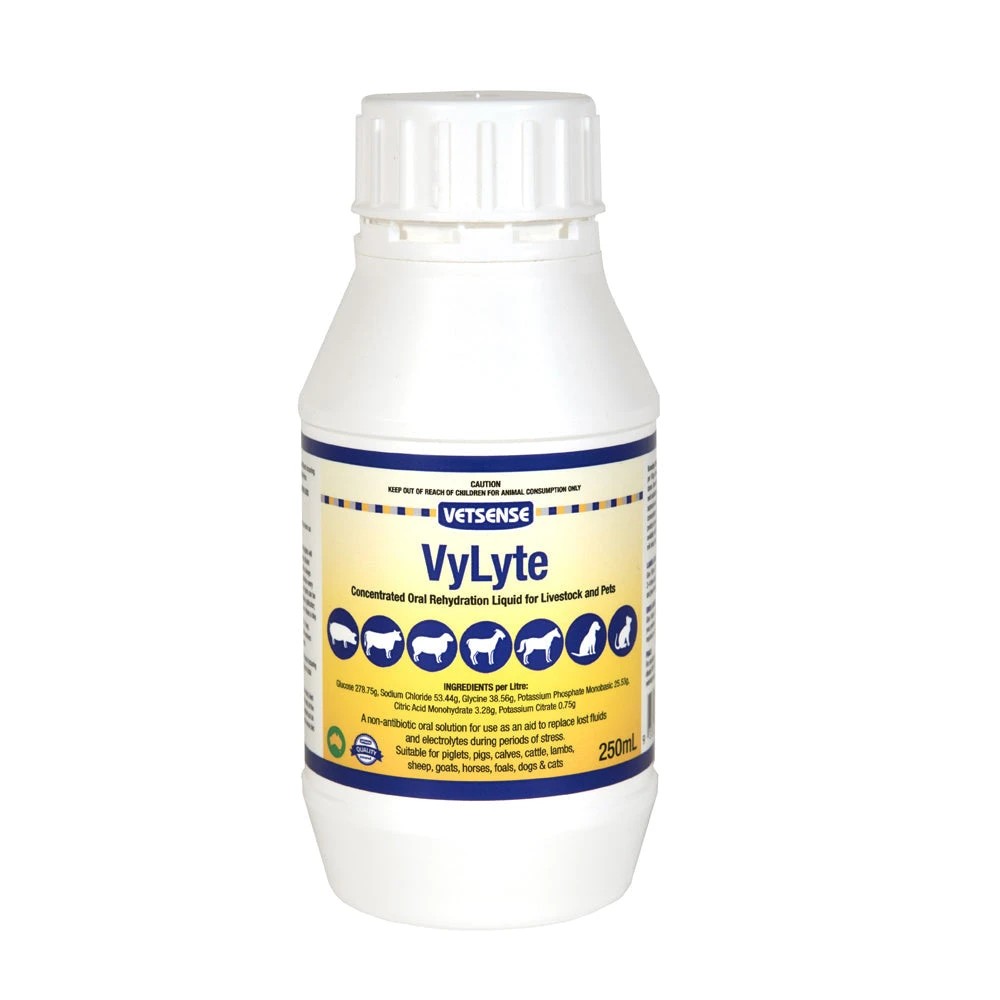 1 Vetsense Vylyte Concentrated Oral Rehydration Liquid For Livestock & Pets 250ml, 1 of 1