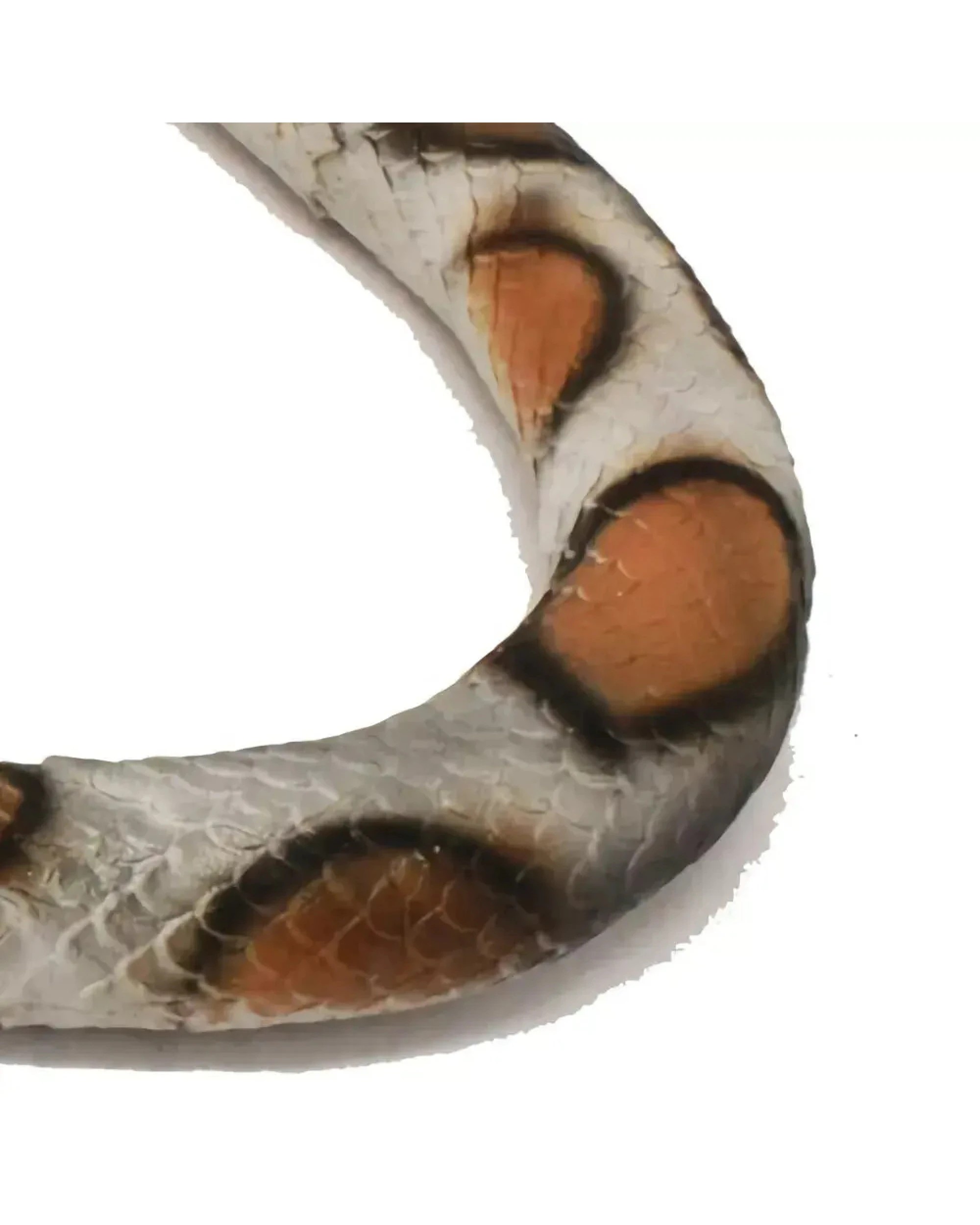 5 BR Costumes Giant Rubber Snake for Halloween Pranks, 5 of 6