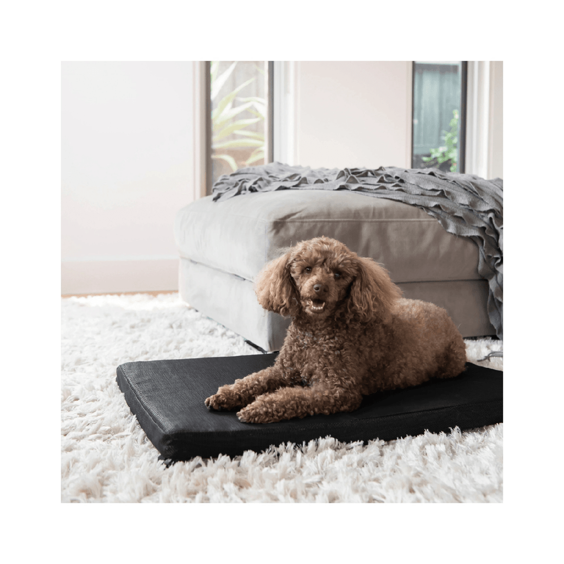 4 Superior Pet Heavy Duty Flea Free Dog Mat Foam Black Jumbo, 4 of 4