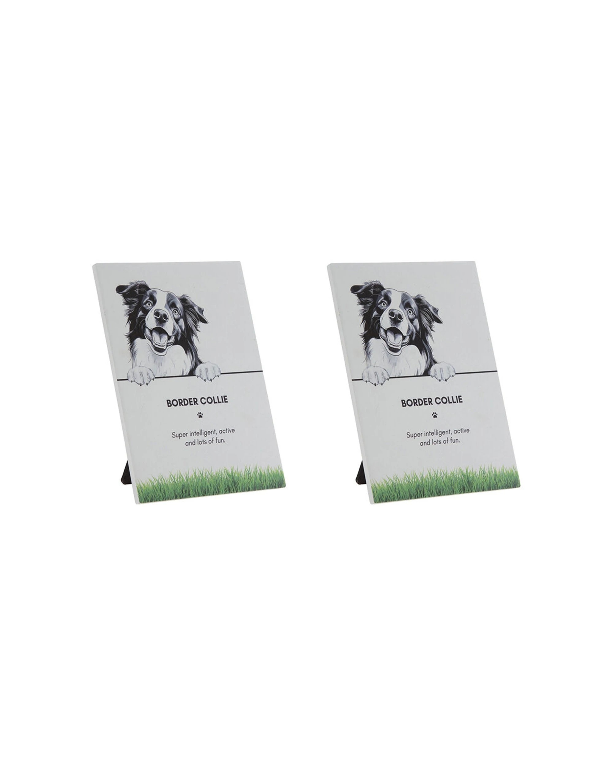 1 Bramble Bay 2PK Pet Wall Art Plaque Border Collie Dog Lovers Gift 16.5x21cm - Multi, 1 of 3