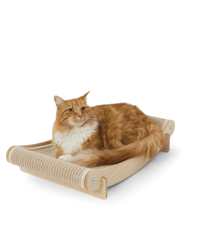 Cat Scratcher