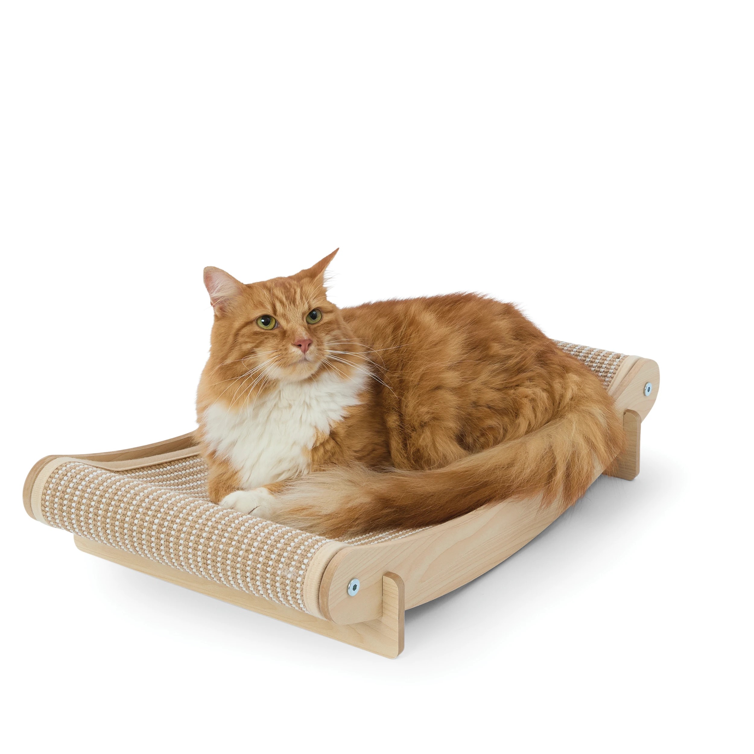 1 Cat Scratcher Bed, 1 of 9