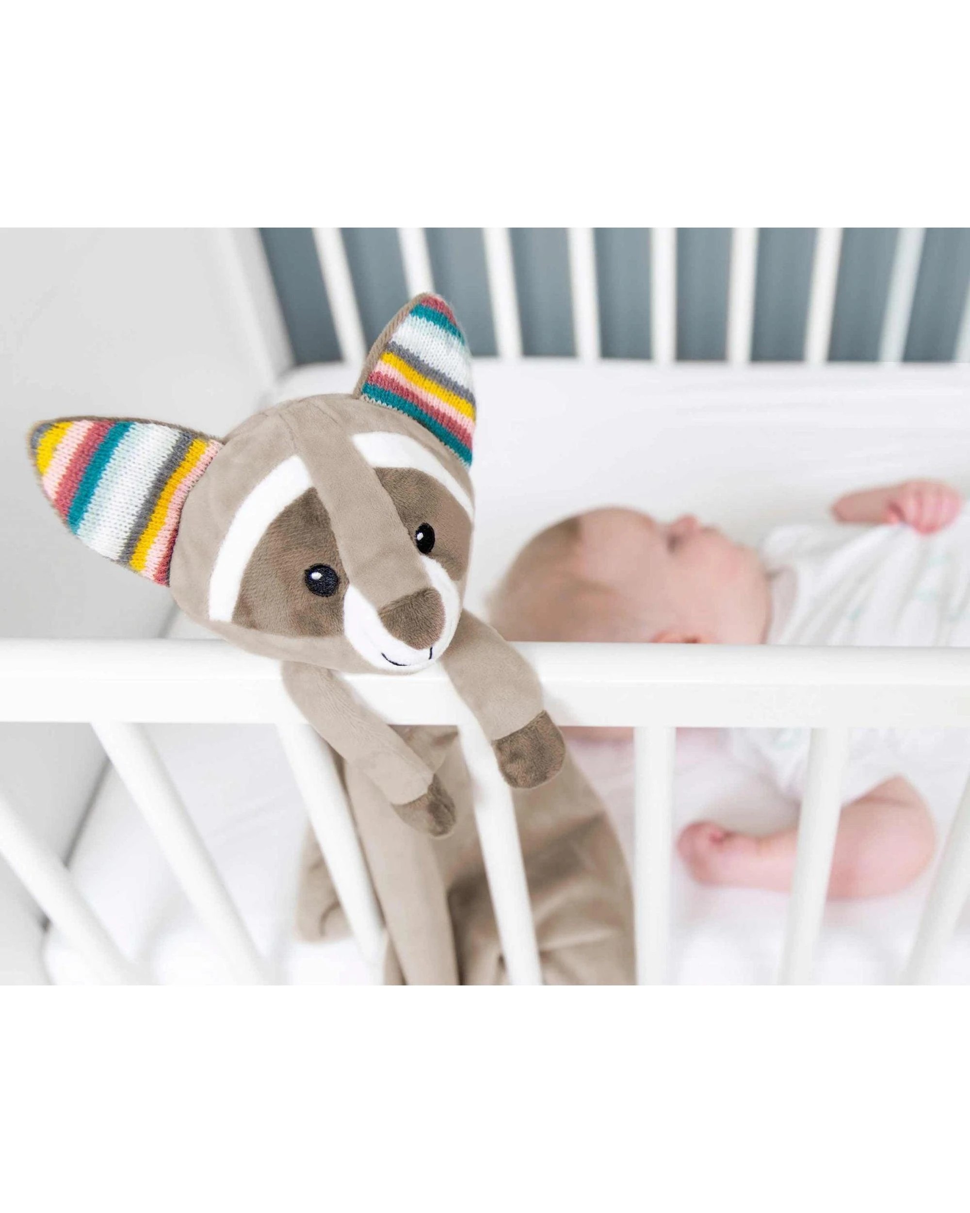 2 ZAZU White Noise Machine - Robin the Racoon, 2 of 3