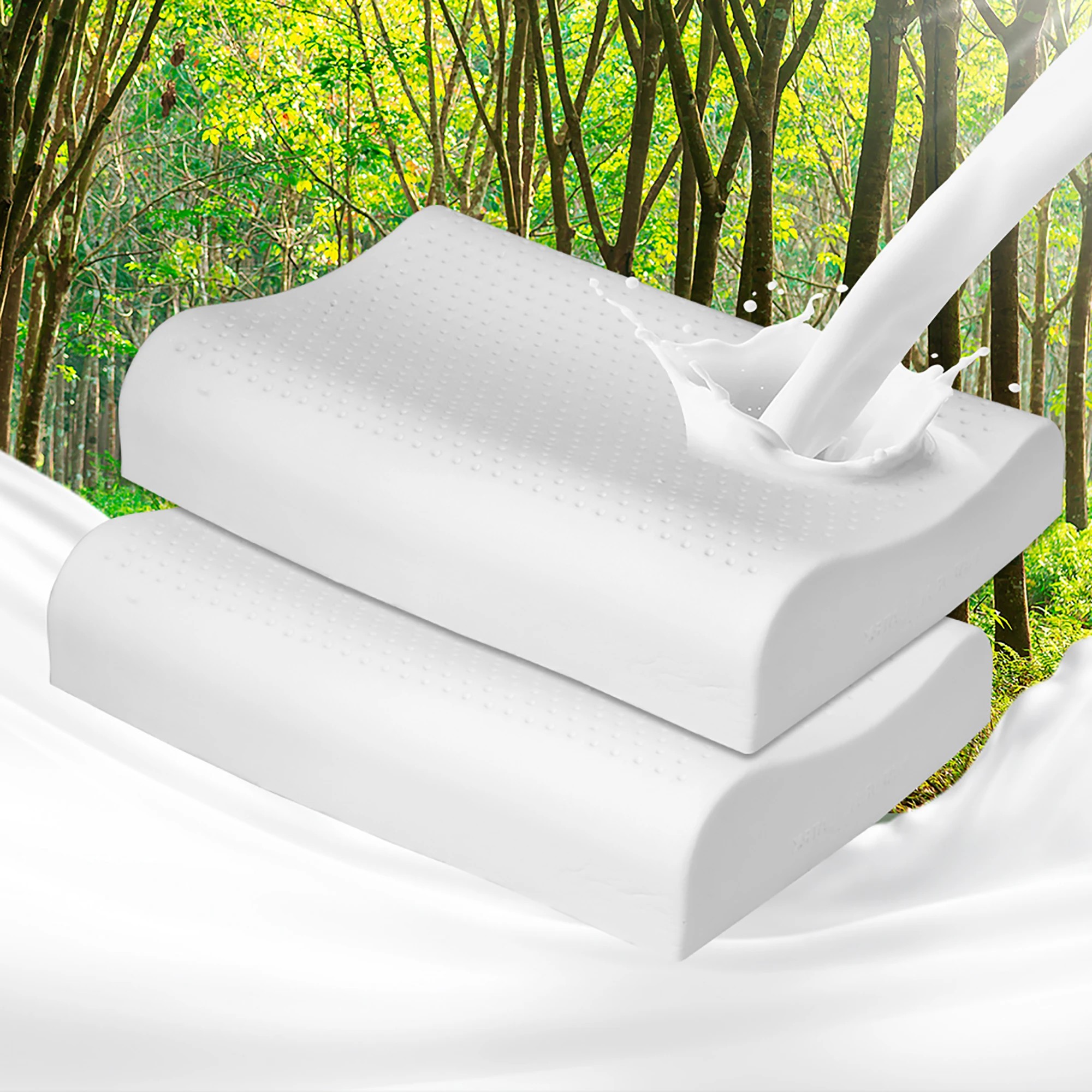 7 Dreamz 2 Pack B-shape Latex Pillows, 7 of 7