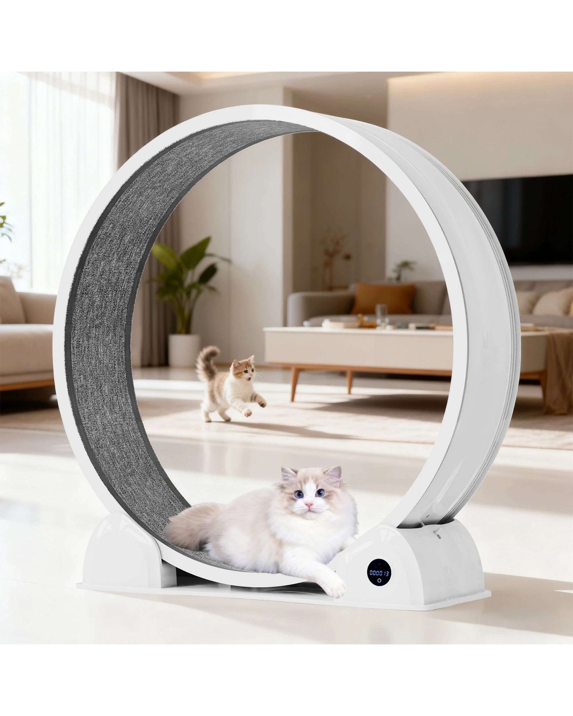2 Advwin Cat Exercise Wheel Pet Treadmill Running Exerciser, 2 of 7