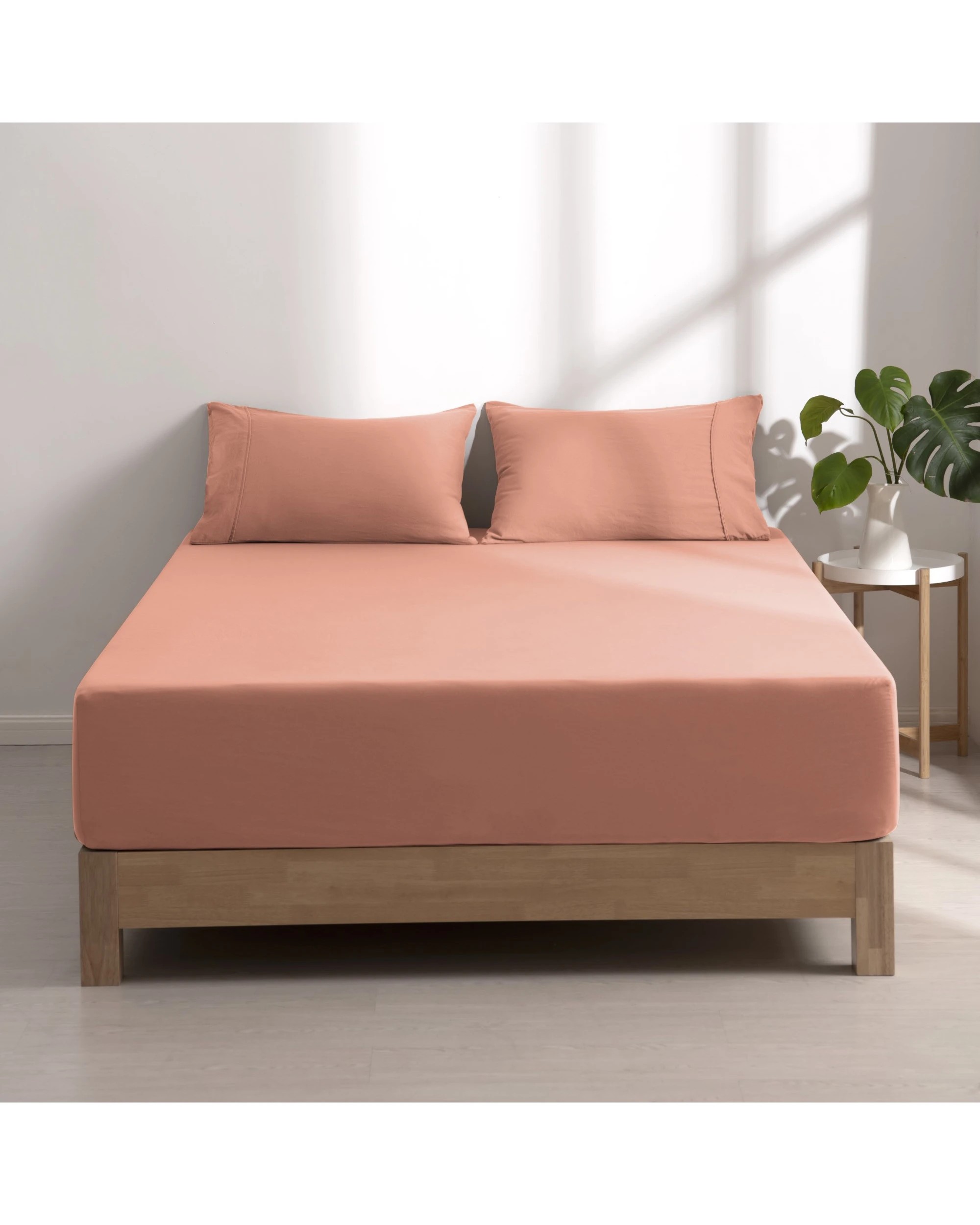 1 Dreamaker Superfine Washed Microfibre Combo Fitted Sheet Set - King Single Bed - Pink Clay, 1 of 7