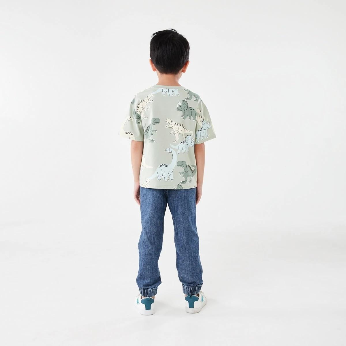 6 All Over Print T-shirt CRANKY DINOS AQUA GREY, 6 of 6