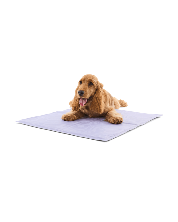 Pet Cooling Mat Small, Tie Dye Kmart
