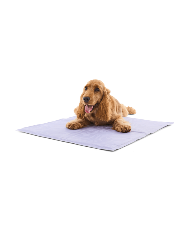 Pet Cooling Mat - Small, Tie