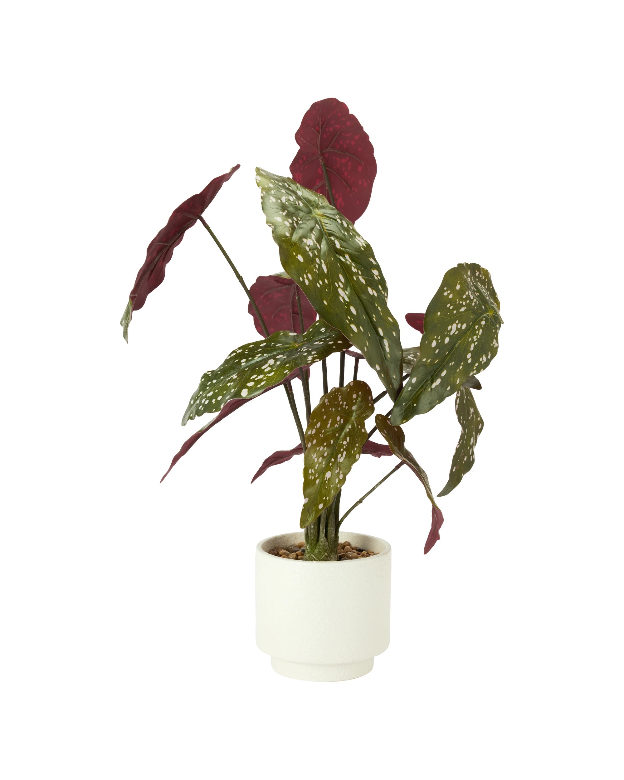 1 Artificial Spotted Plant in Pot, 1 of 3
