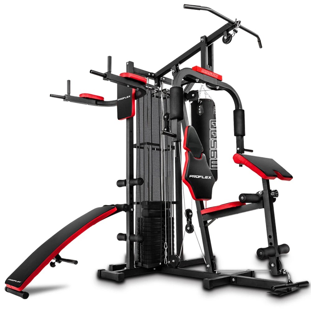 1 Proflex Exercise Home Gym with 100lbs Weight Plates, 1 of 1