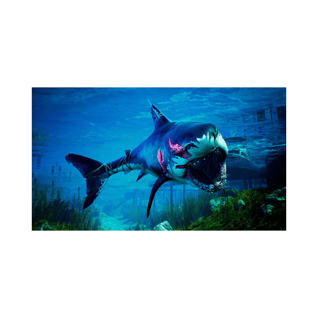 2 Deep Silver Maneater: Apex Edition - PS4, 2 of 7