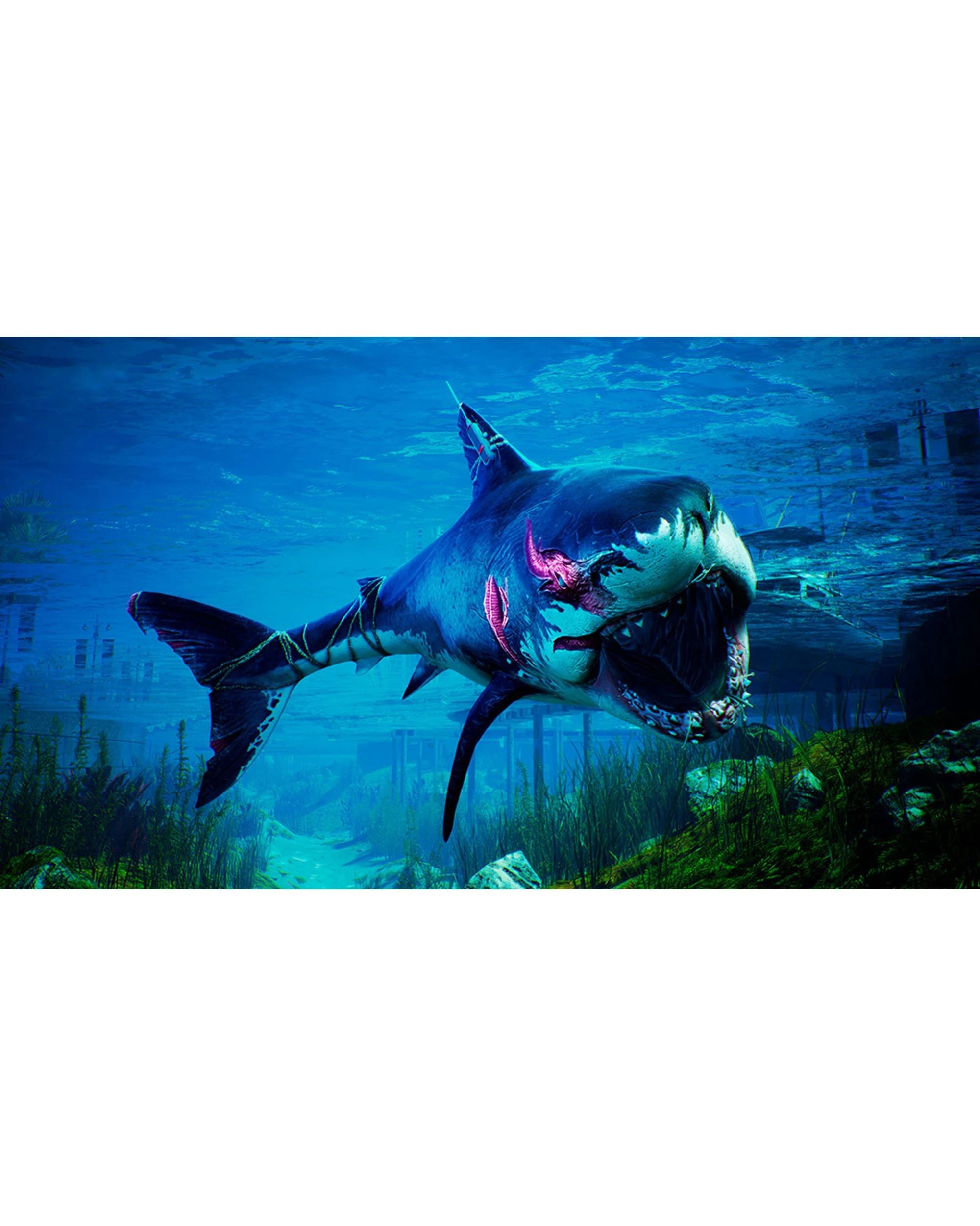 2 Maneater: Apex Edition - PS4, 2 of 7