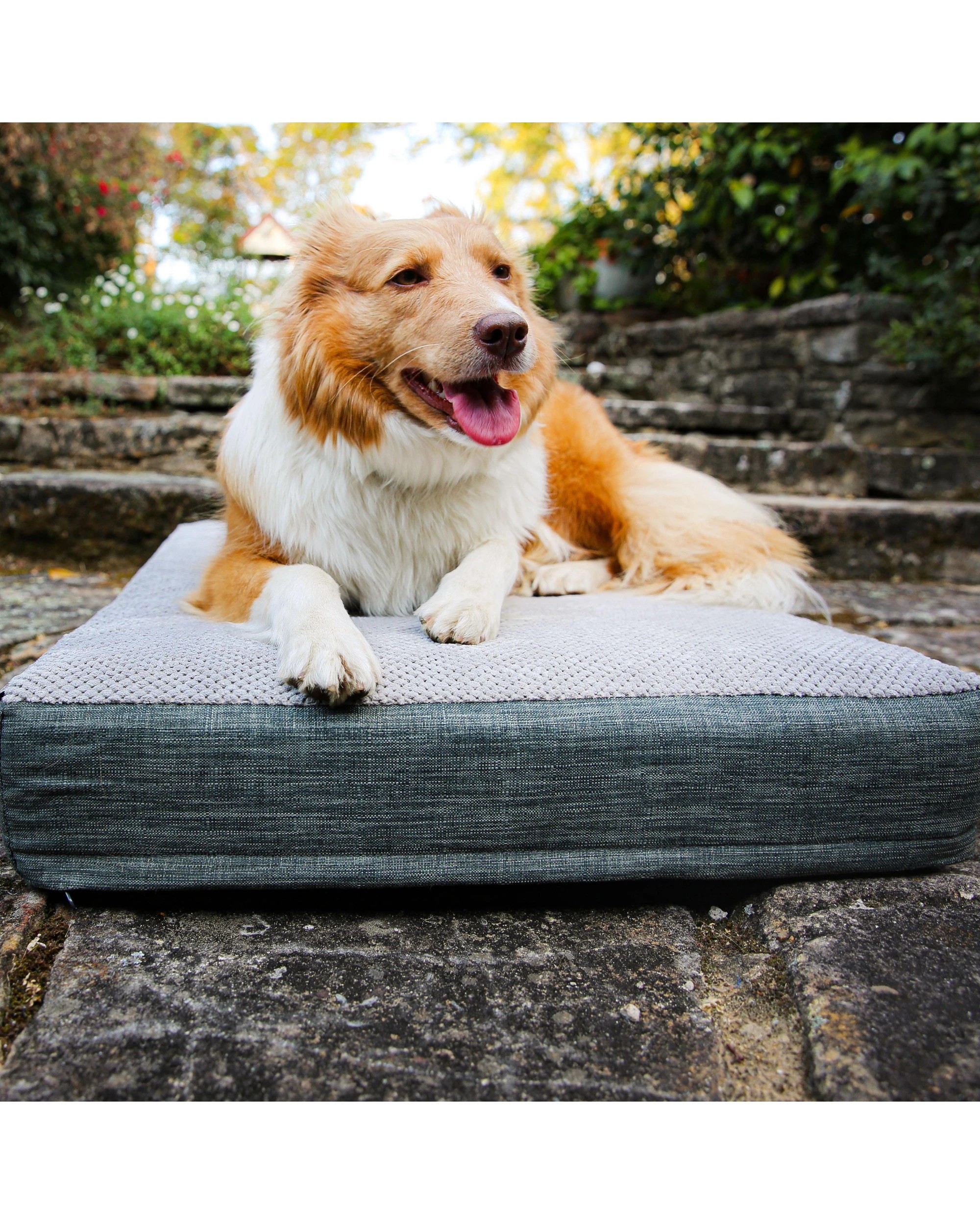 10 Charlie's Universal Dog Orthopedic Foam Crate Mattress Bed Small - Grey, 10 of 10