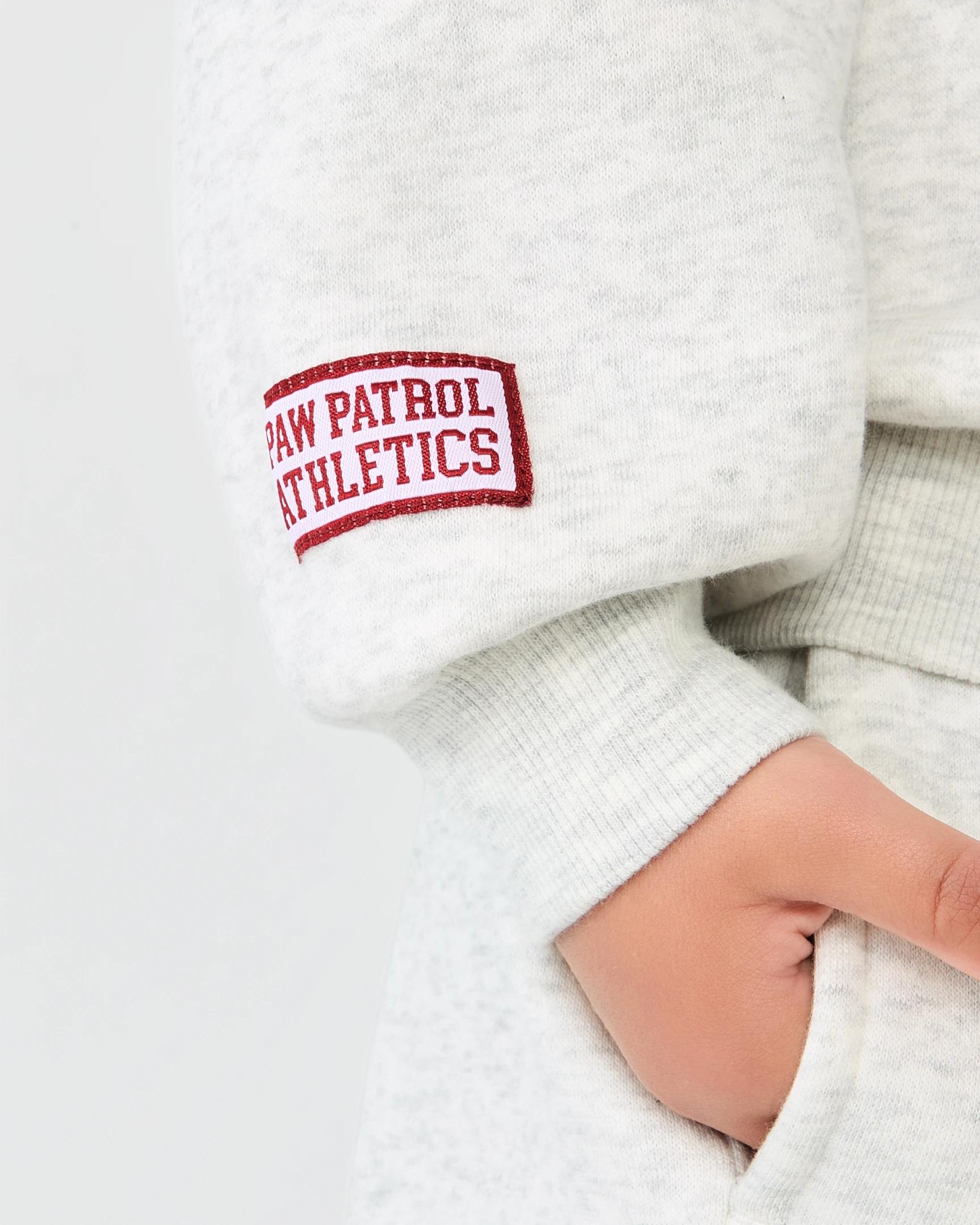 7 PAW Patrol License Oversized Print Hoodie Paw Patrol, 7 of 8