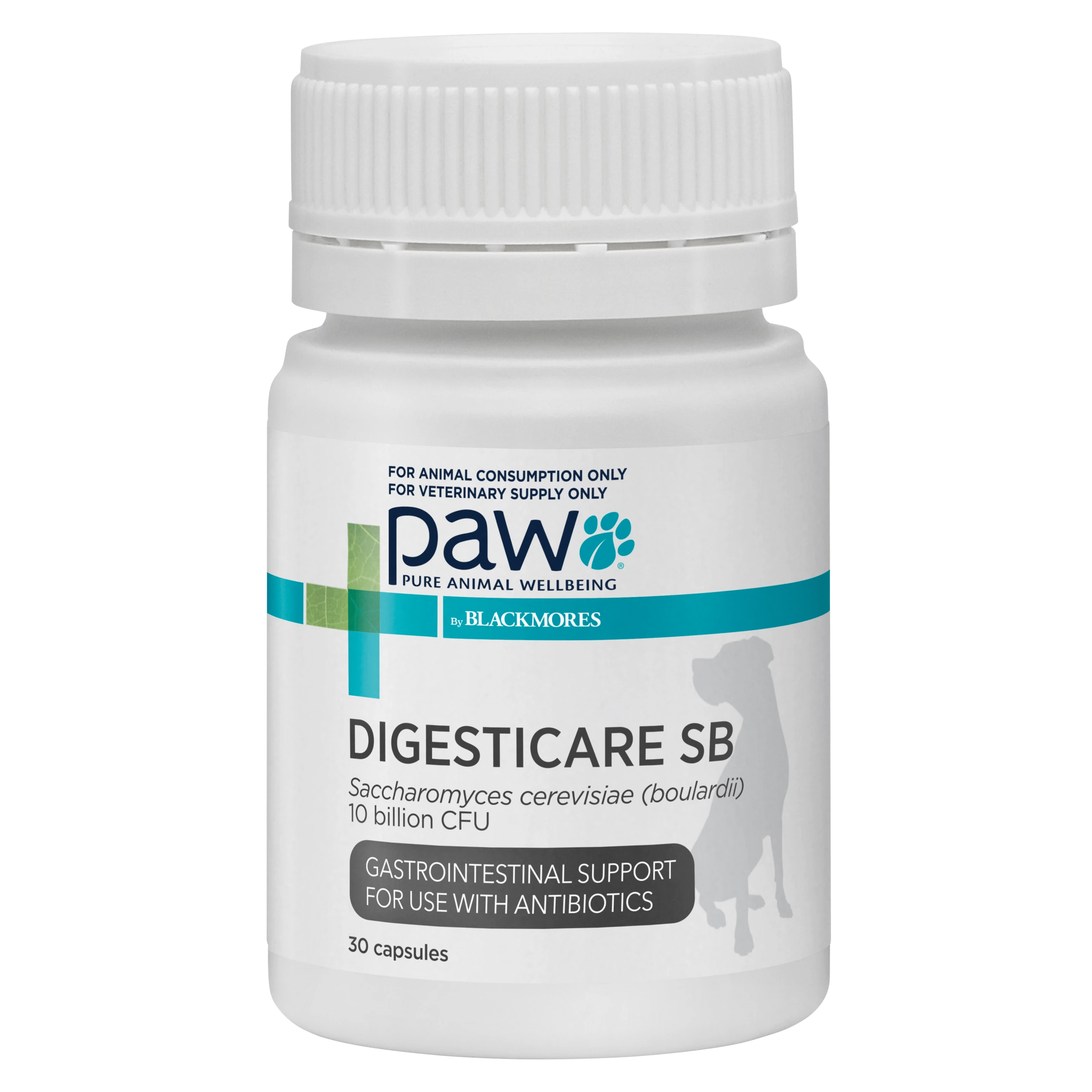 1 Paw Digesticare Sb 500mg 30 Capsules, 1 of 1