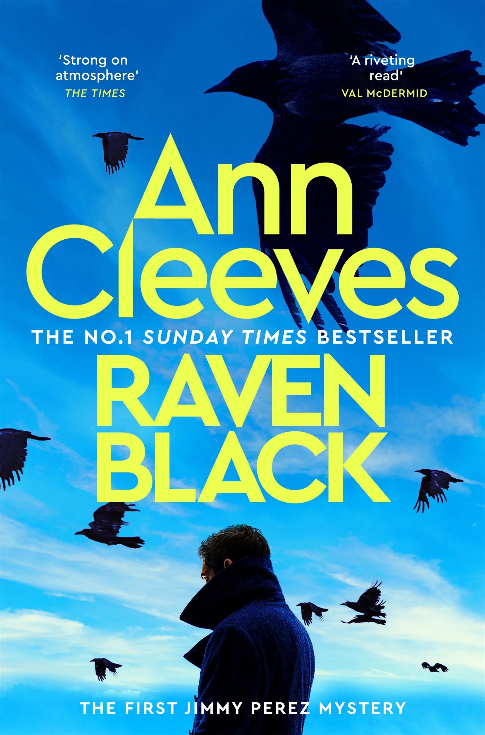 1 Shetland: Raven Black by Ann Cleeves - Book, 1 of 1