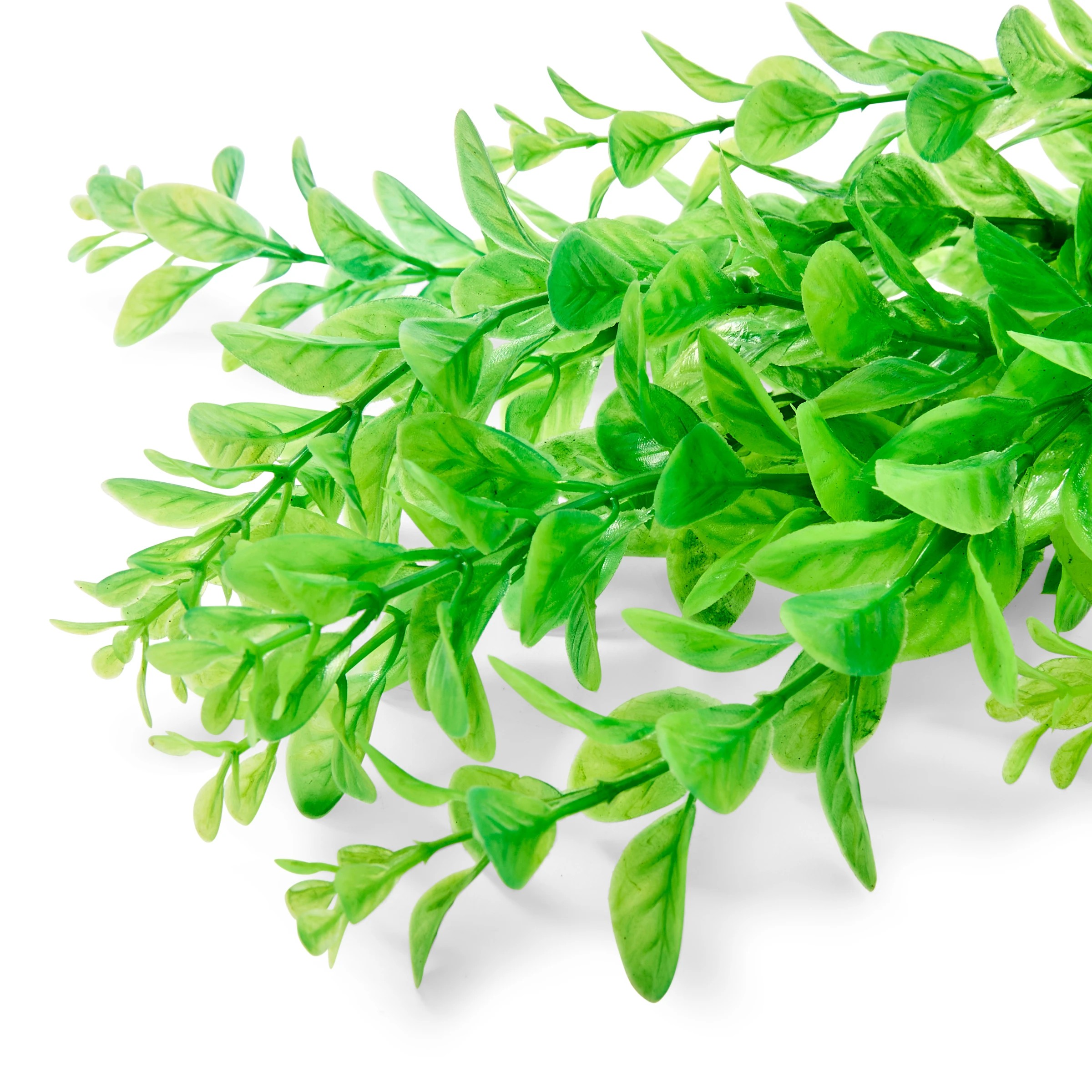 7 Aquarium Natural Plants 4 Pack - Large, 7 of 10