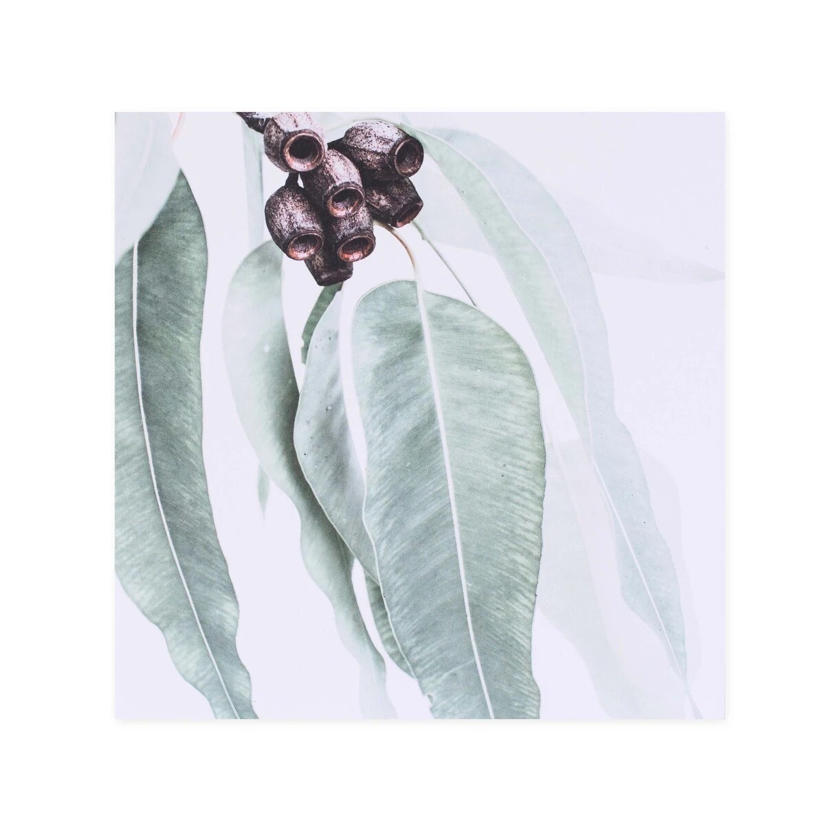 3 Hallmark x Donna Delaney Gallery Blank Greeting Card - Home Among The Gum Trees, 3 of 3