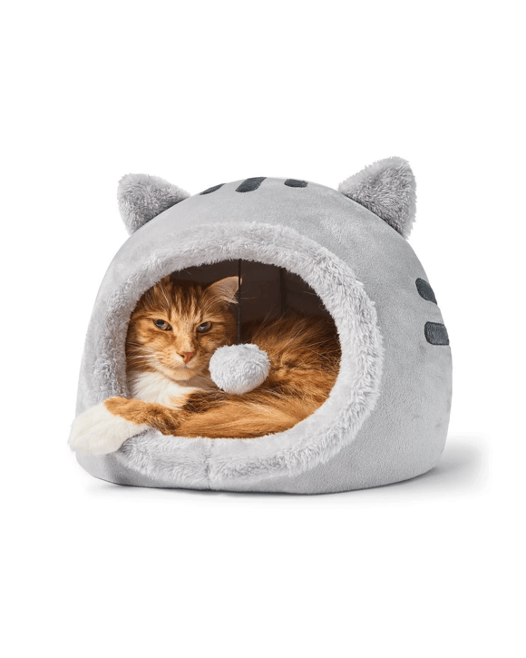 Cat Kitten Cave