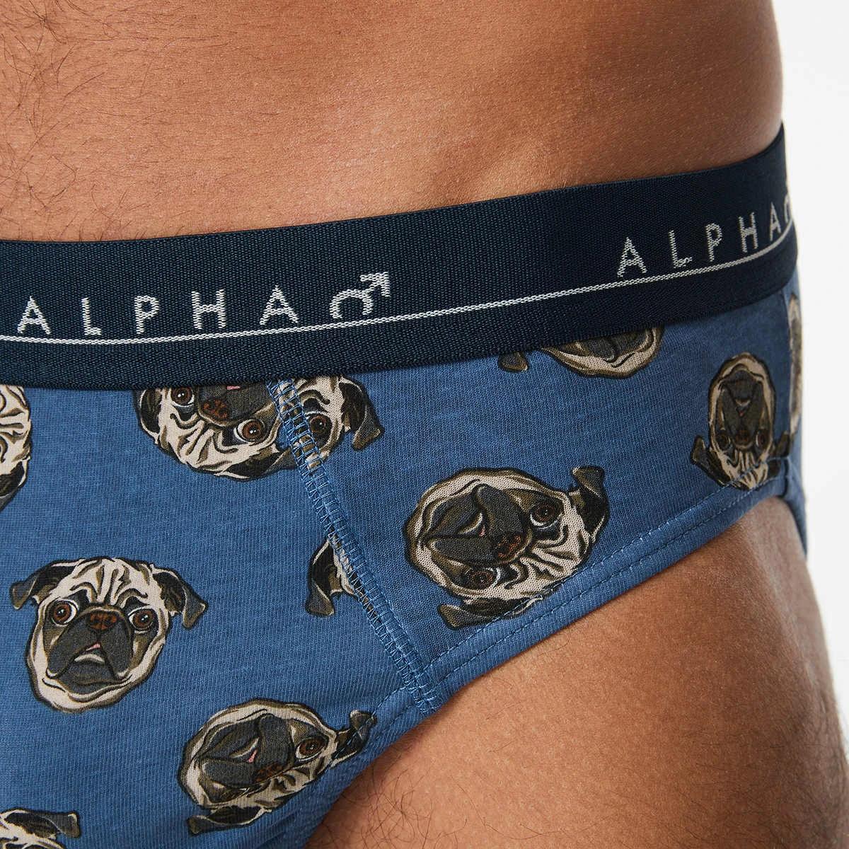 9 5 Pack Printed Briefs Dogshead, 9 of 10