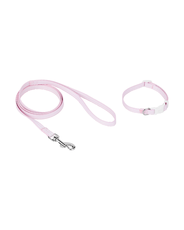 Puppy Collar & Lead - 