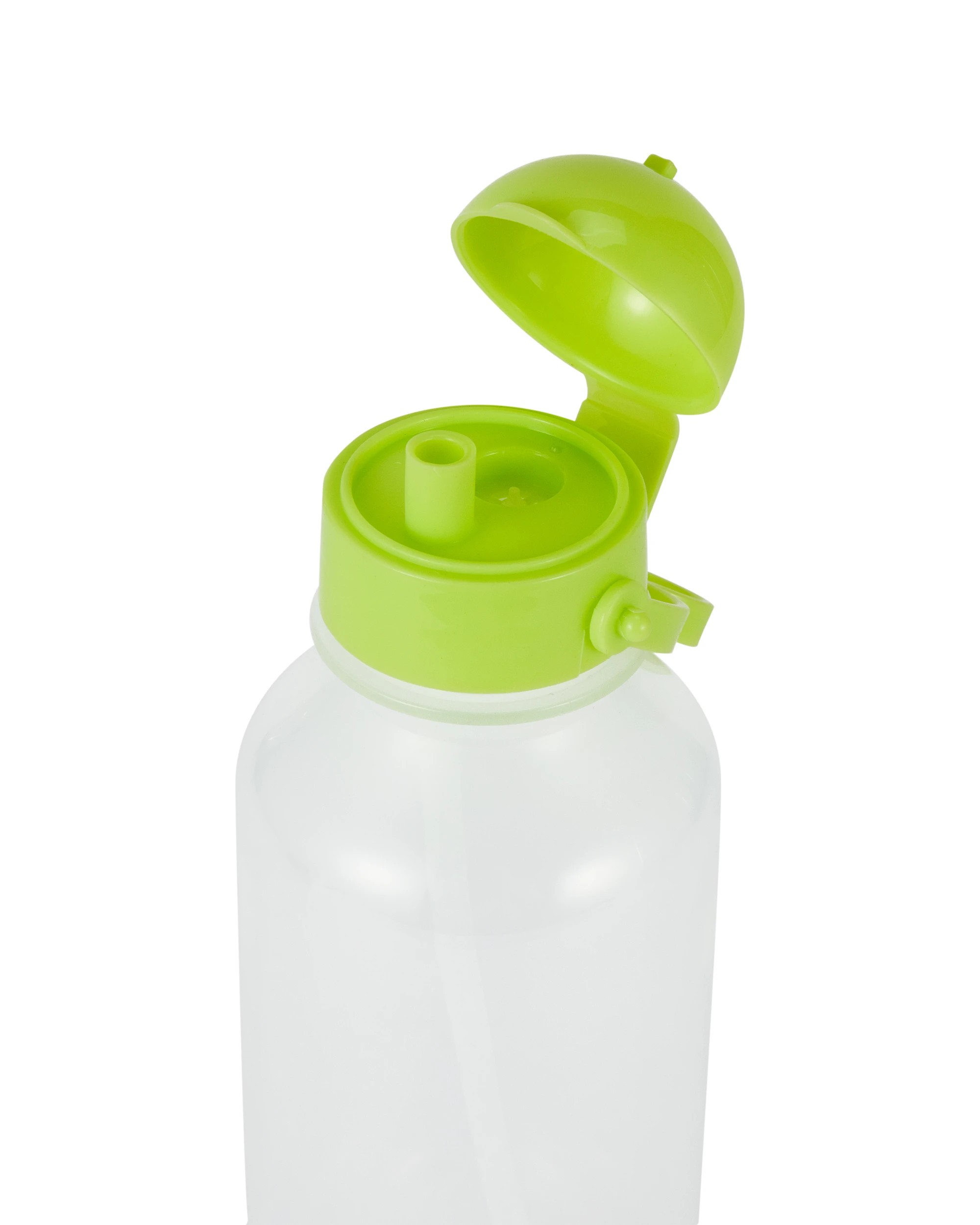 5 Dino Insulated Case and Bottle Set, 5 of 6