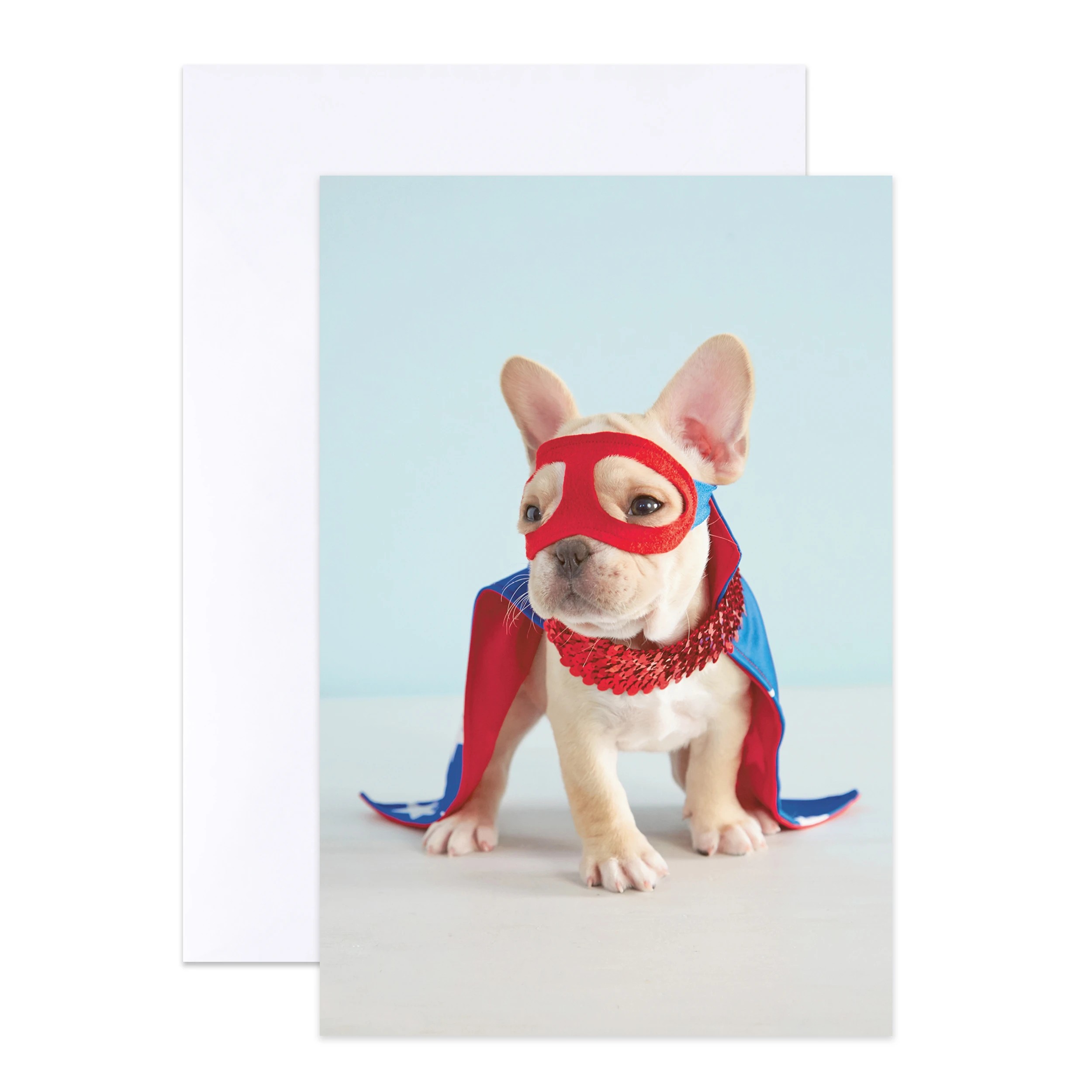5 12 Pack Hallmark Birthday Cards - Cat and Dog, 5 of 6