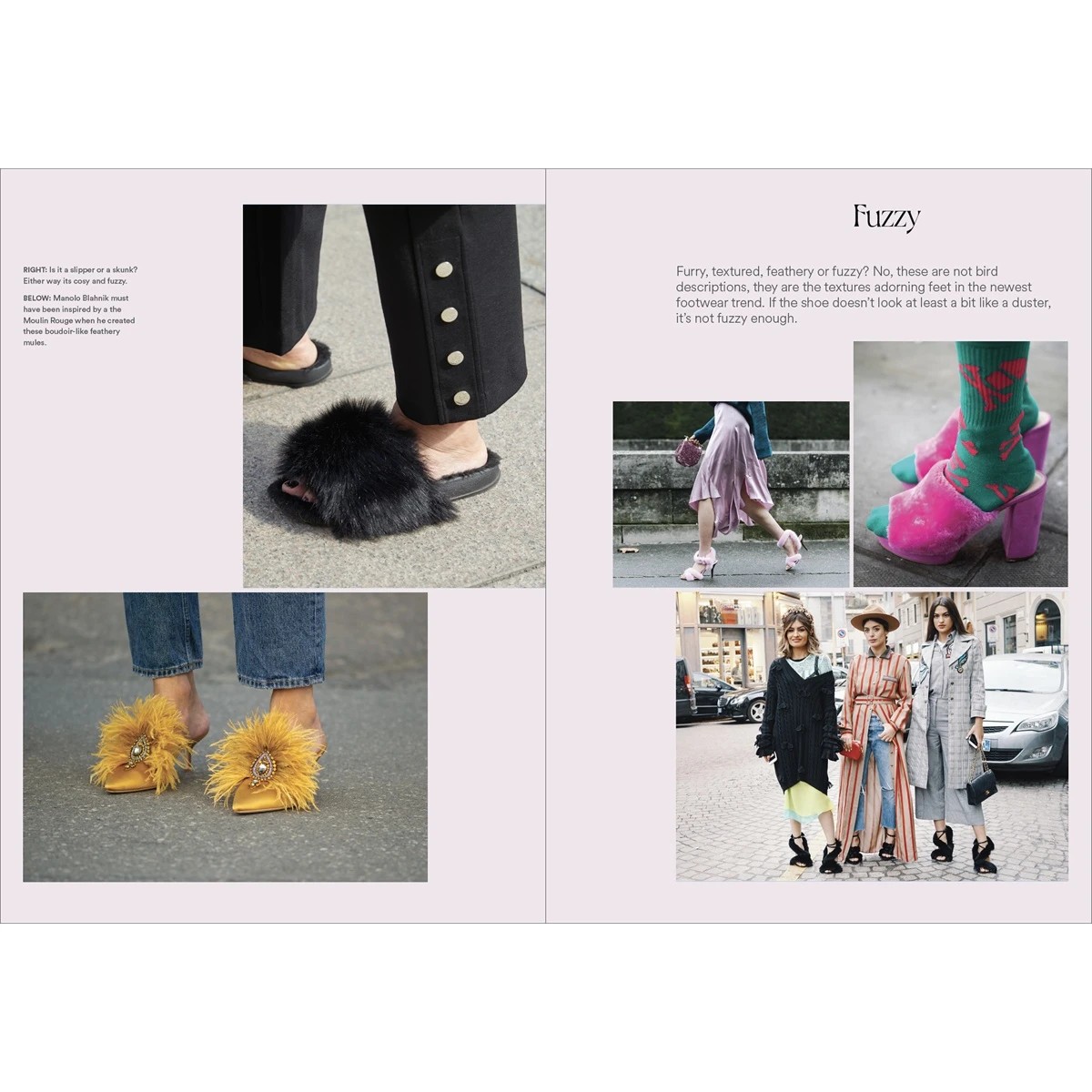 4 Shoe The Collection - Book, 4 of 6