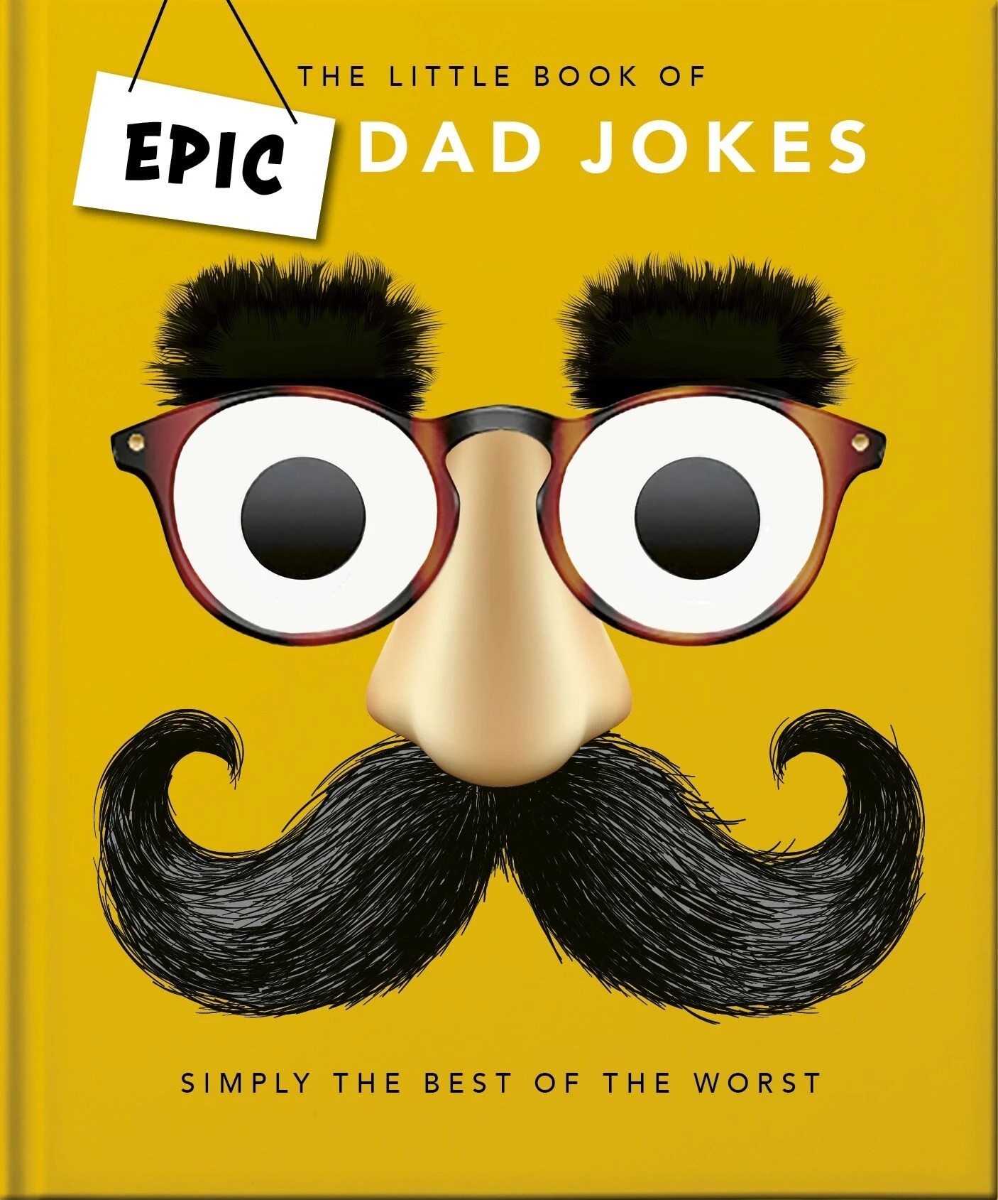 1 The Little Book of Epic Dad Jokes - Book, 1 of 3
