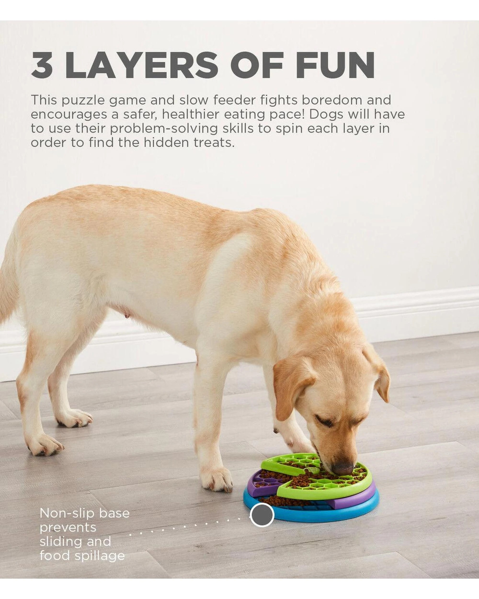 2 Outward Hound Nina Ottosson Lickin Layers Puzzle Game Level 2 Dog Toy, 2 of 6